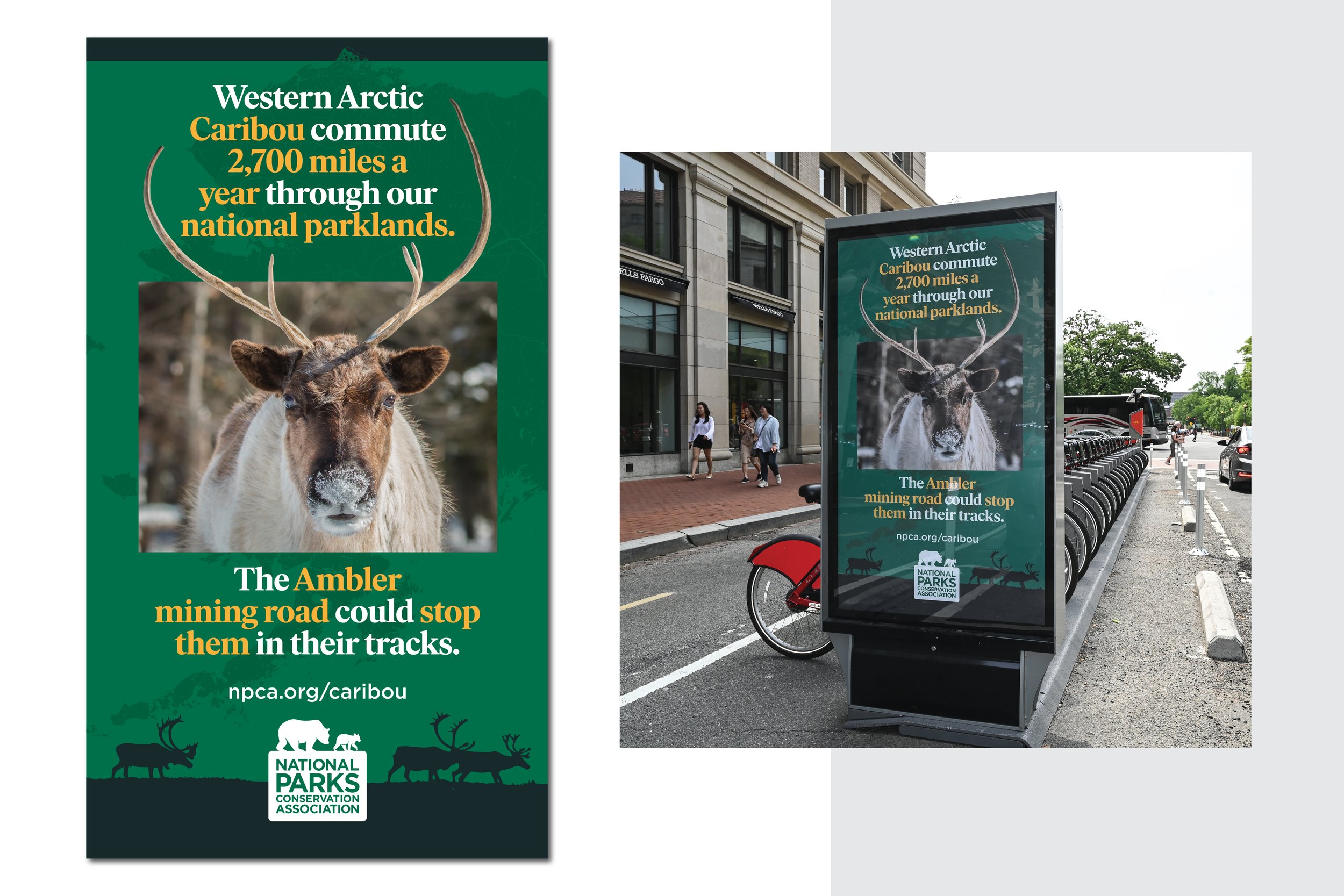 NPCA_NO ROAD_Poster_3.jpg