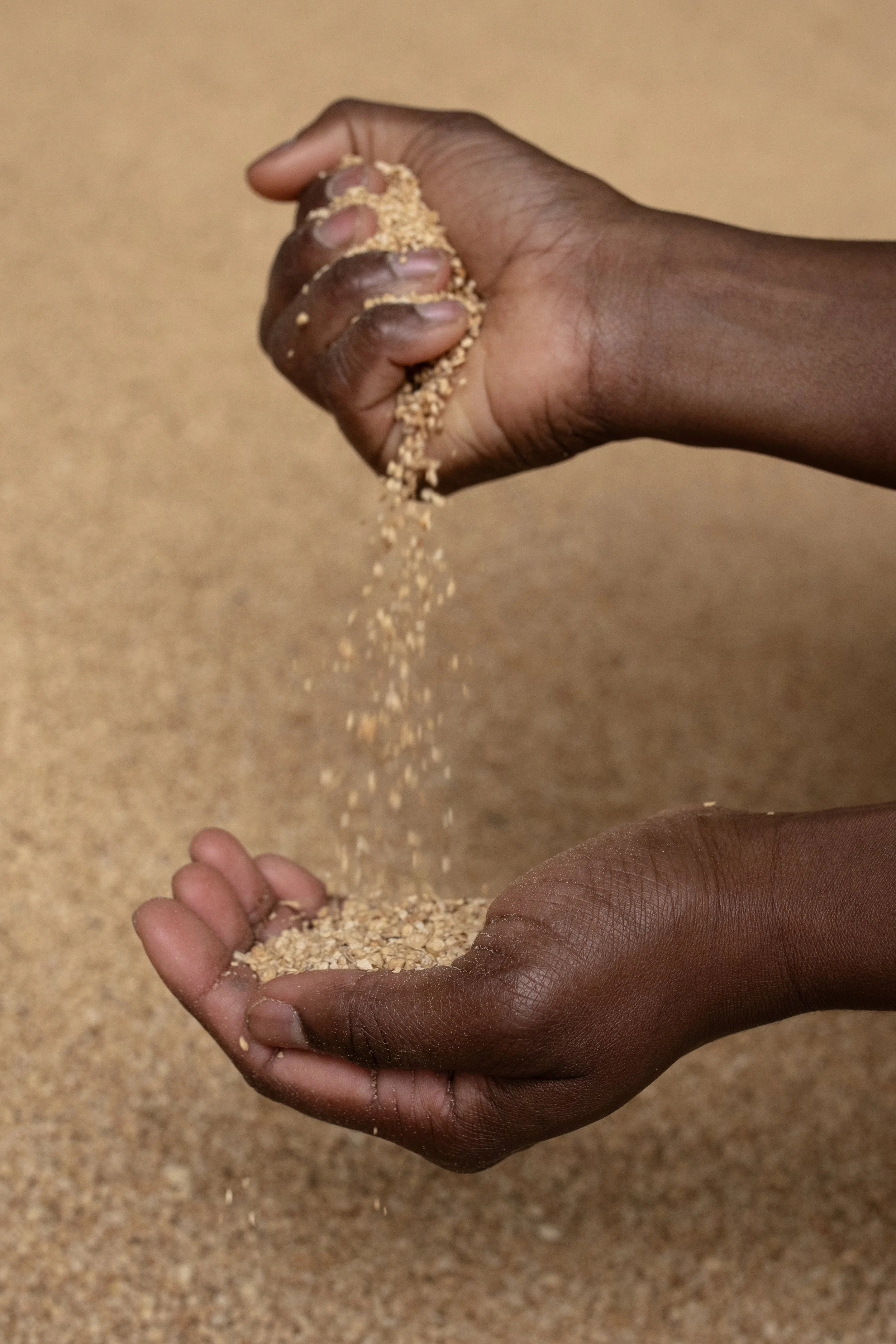 5 readings on the history of food and farming
