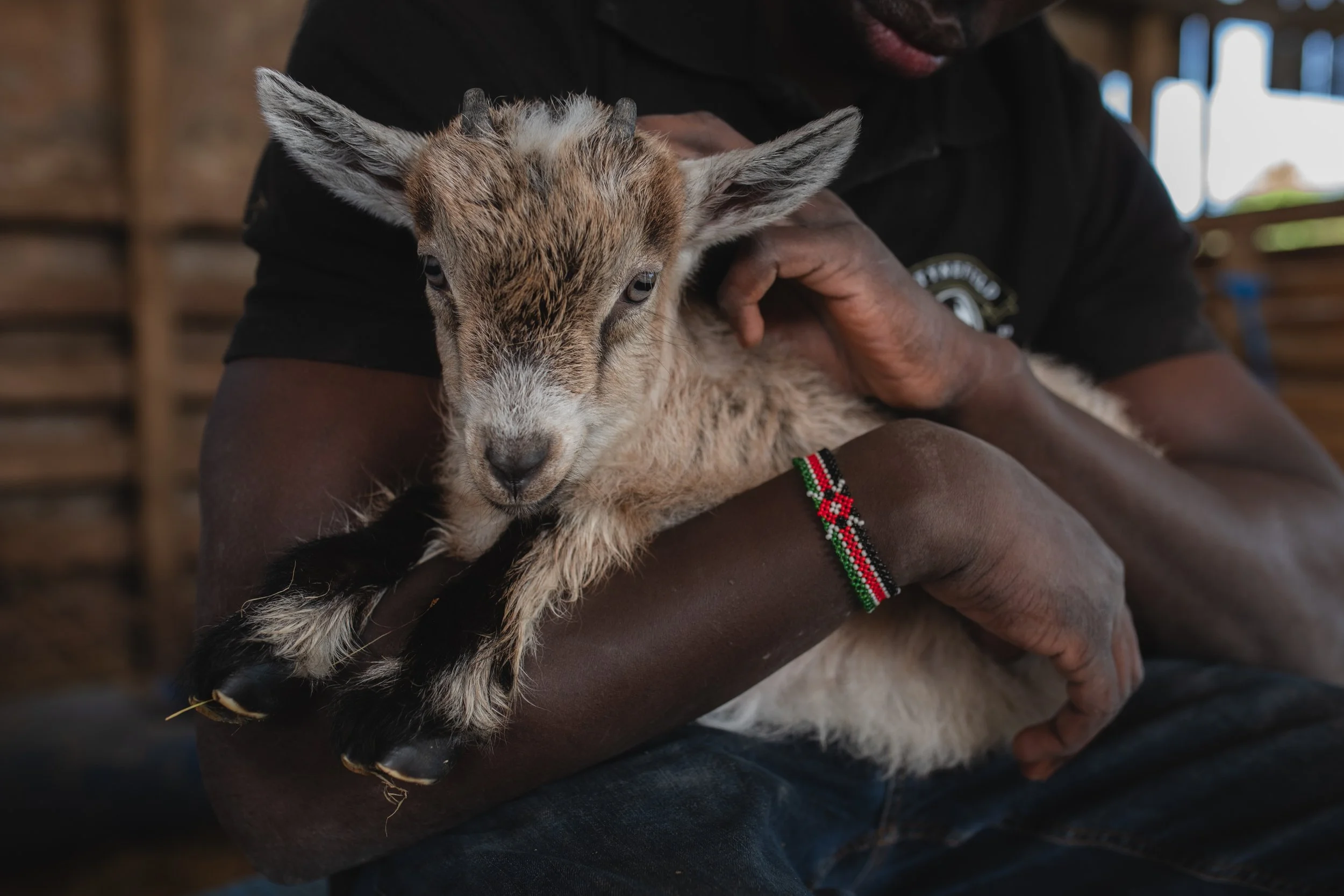 Photo Credit: Tynefield Farm, Photographed by Phoebe Davies for Culture Roots Collective, 2026