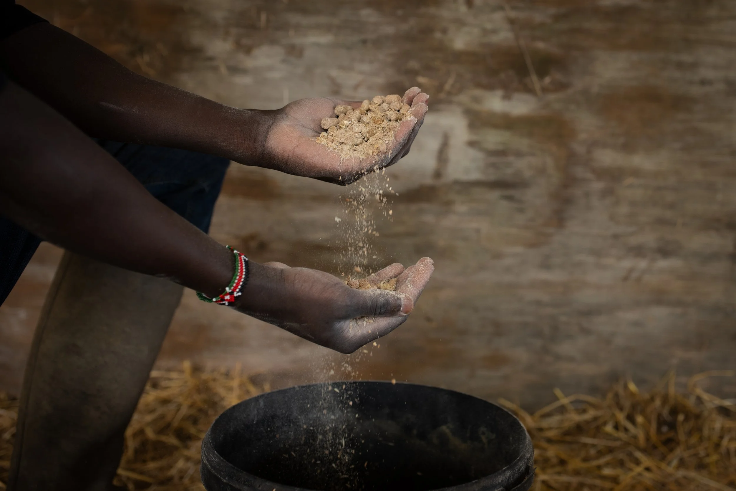 Photo Credit: Tynefield Farm, Photographed by Phoebe Davies for Culture Roots Collective, 2026