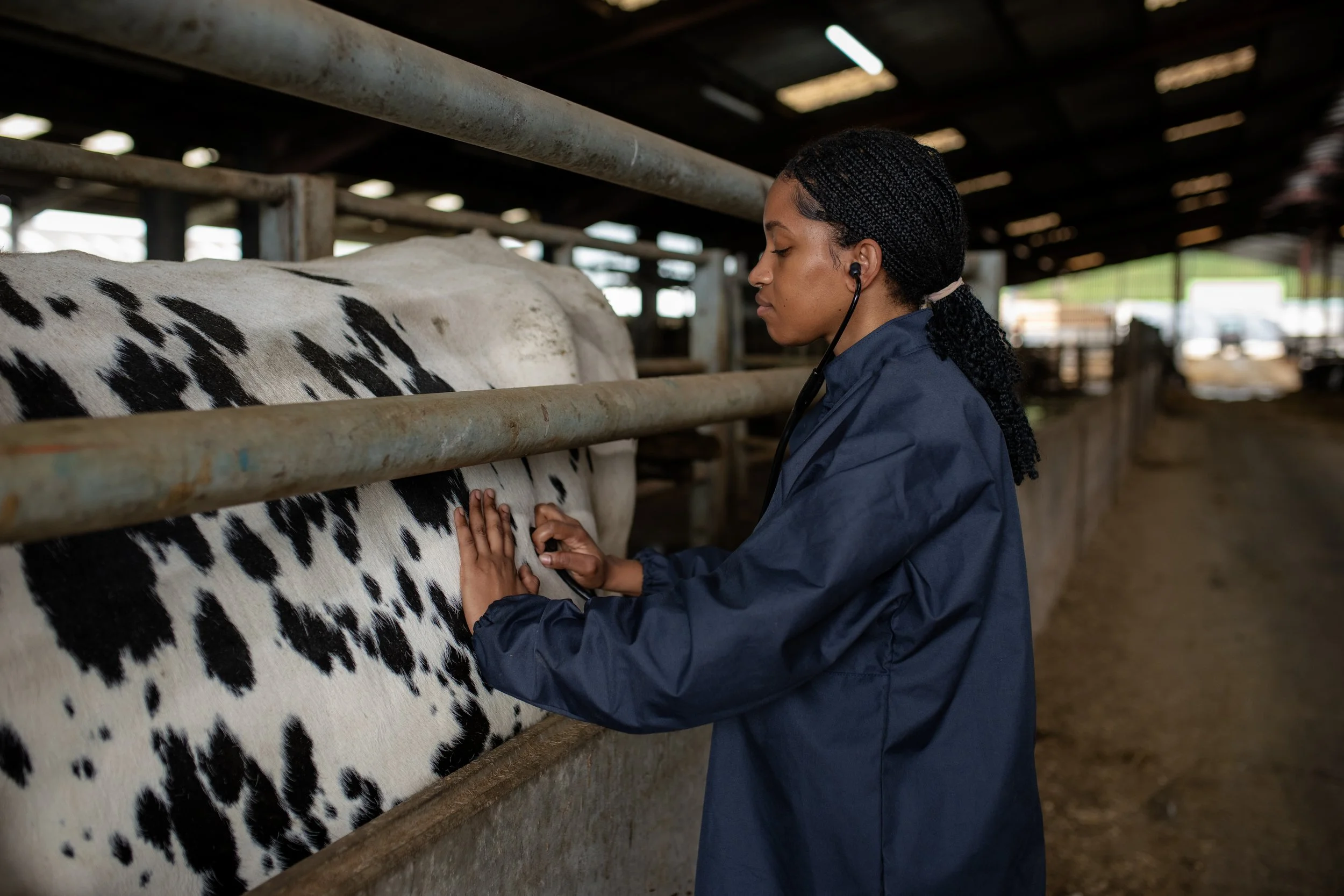 Photo Credit: Veterinary students and scholars, Photographed by Phoebe Davies for Culture Roots Collective, 2026