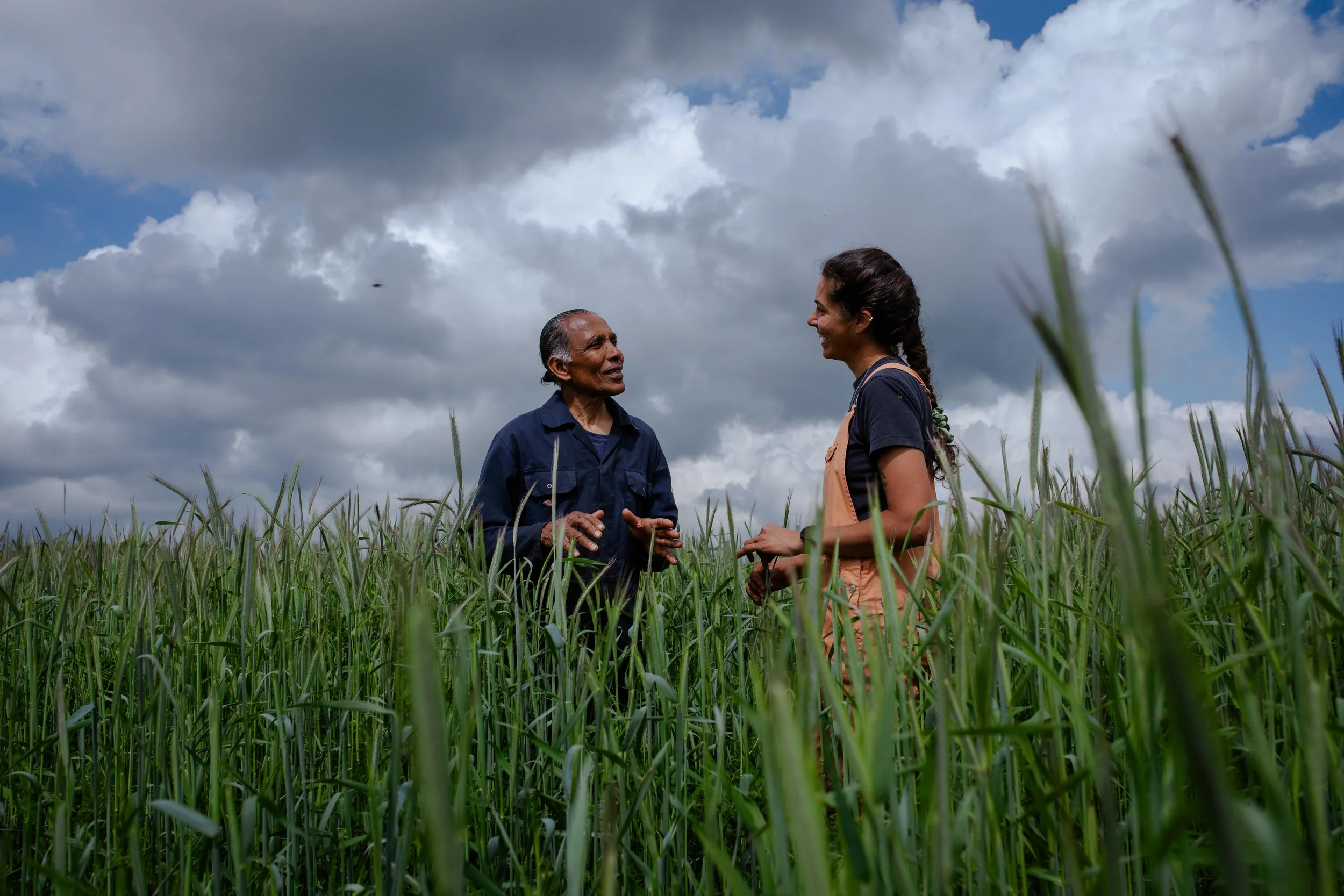 Photo Credit: Woodland Farm, Photographed by Phoebe Davies for Culture Roots Collective, 2026