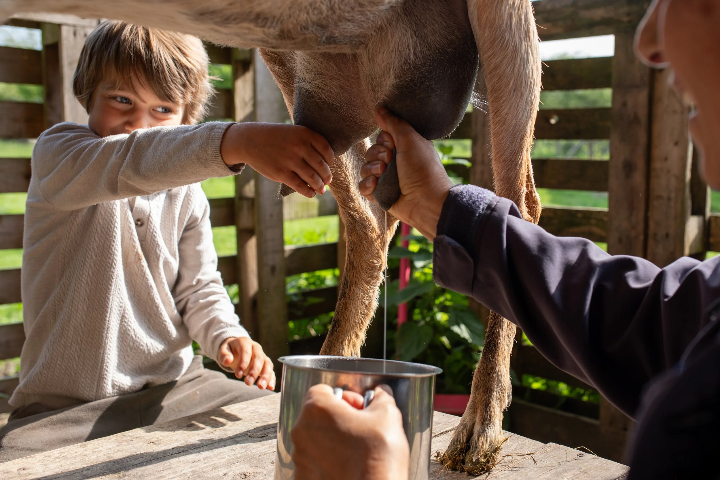 Photo Credit: Willowbrook Farm, Photographed by Phoebe Davies for Culture Roots Collective, 2026