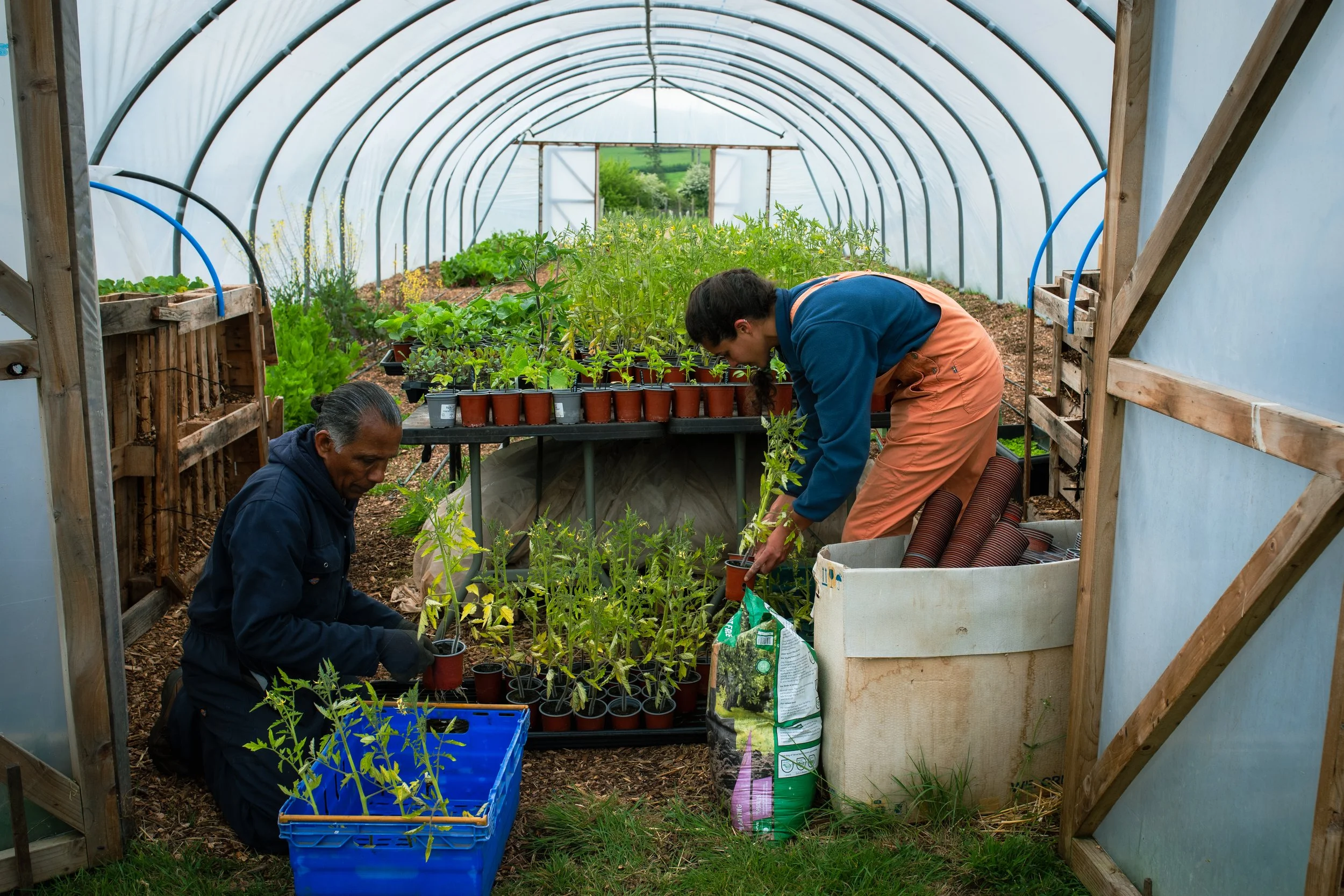 WoodlandFarm0369_20260504_CC.jpg