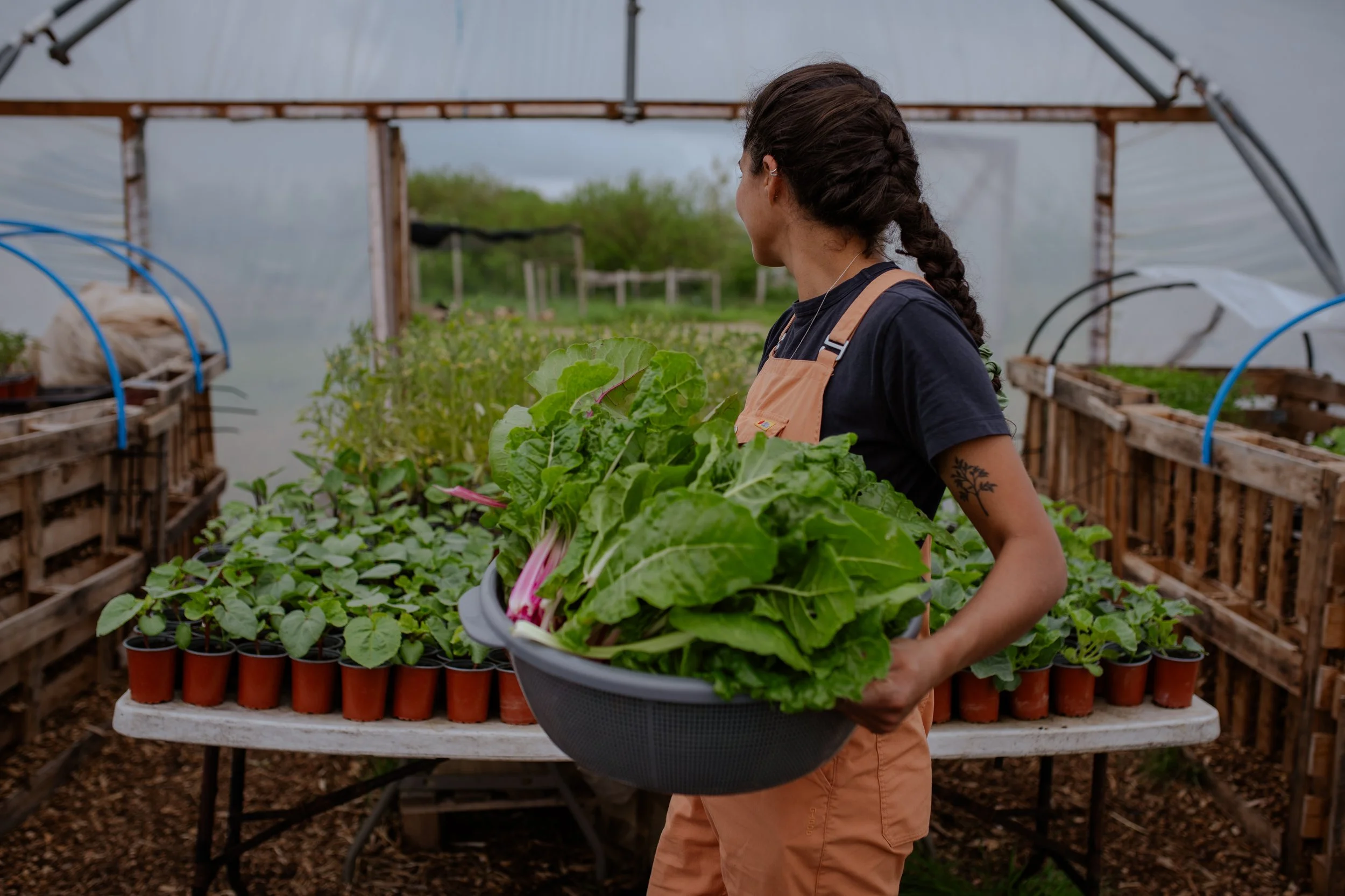 Photo Credit: Woodland Farm, Photographed by Phoebe Davies for Culture Roots Collective, 2026