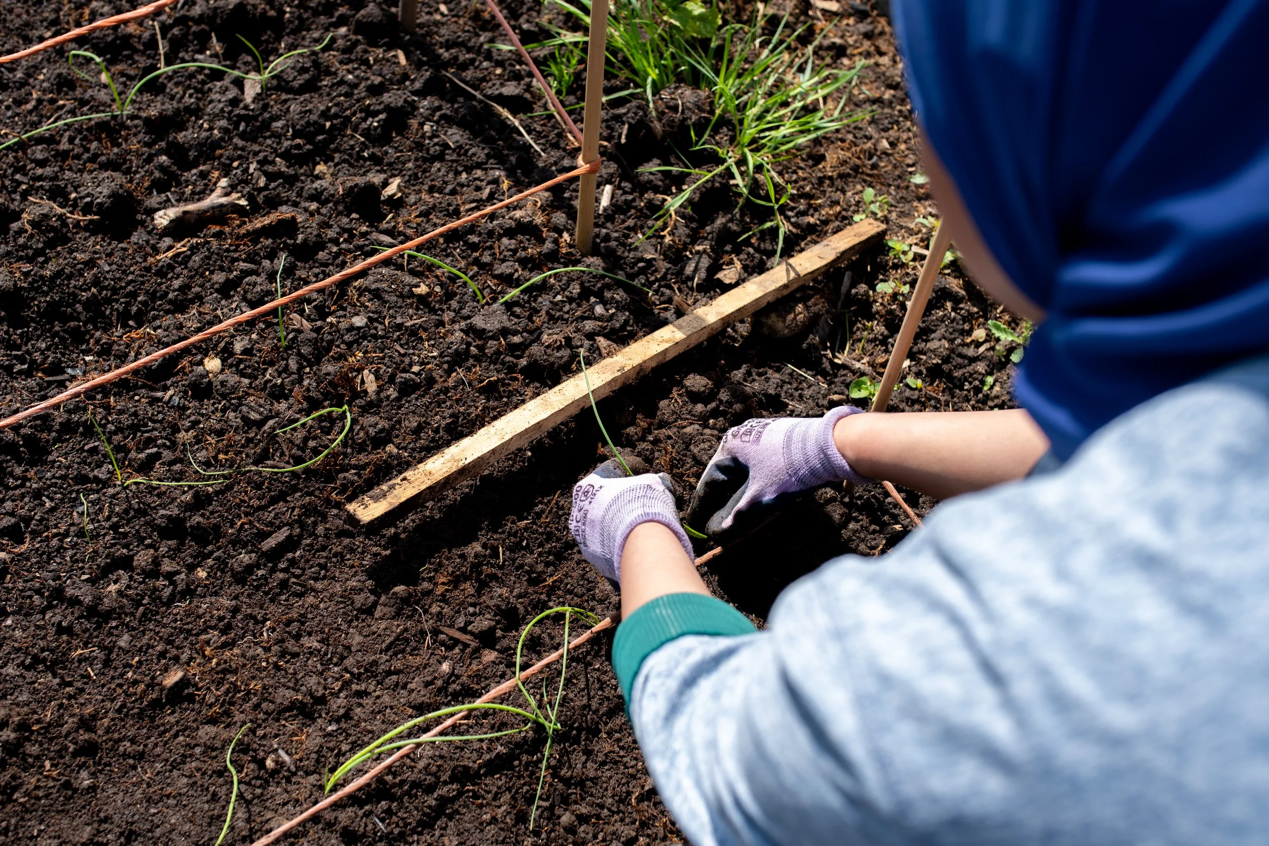 WillowbrookFarm1814_20260505_CC.jpg
