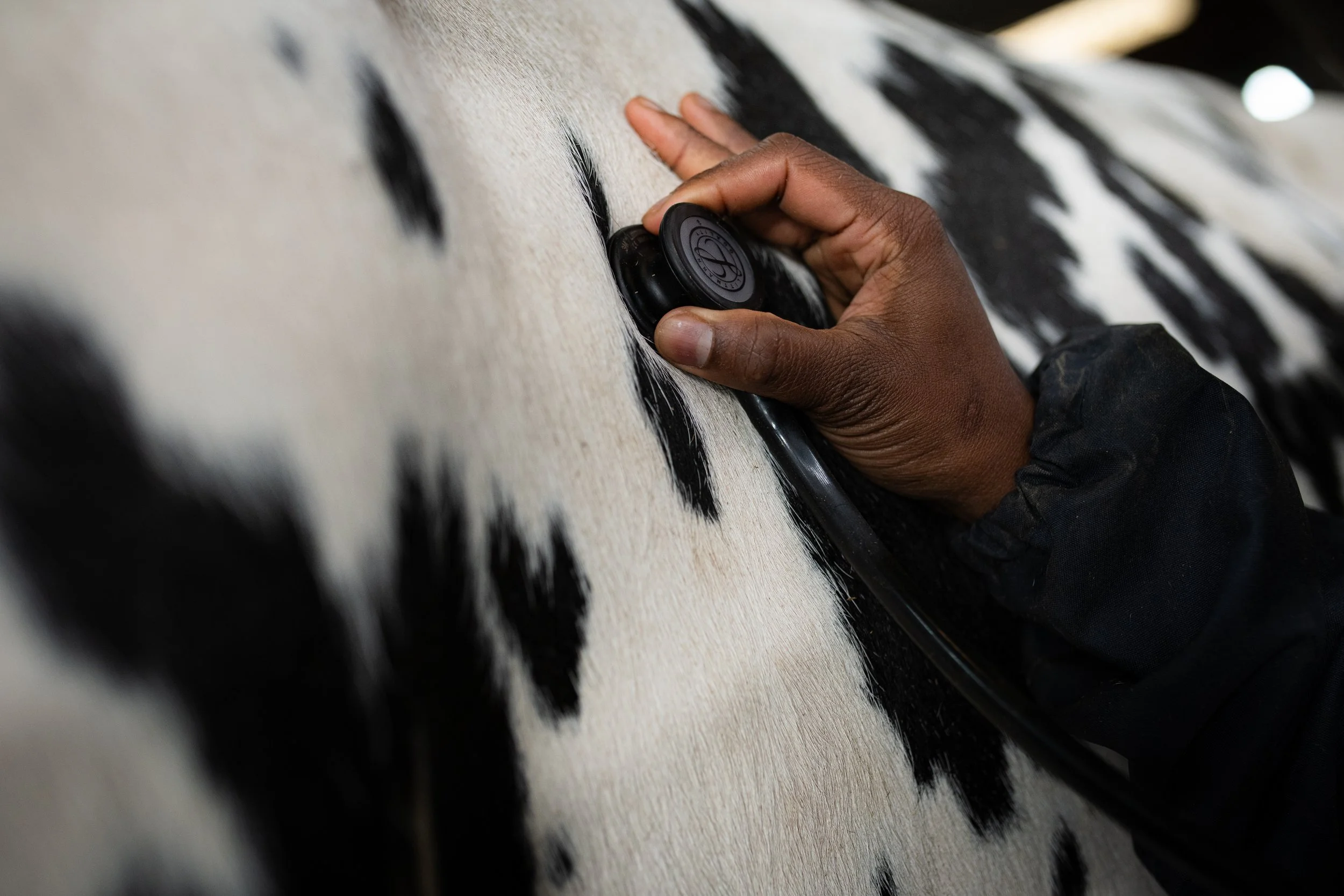 Photo Credit: Veterinary students and scholars, Photographed by Phoebe Davies for Culture Roots Collective, 2026