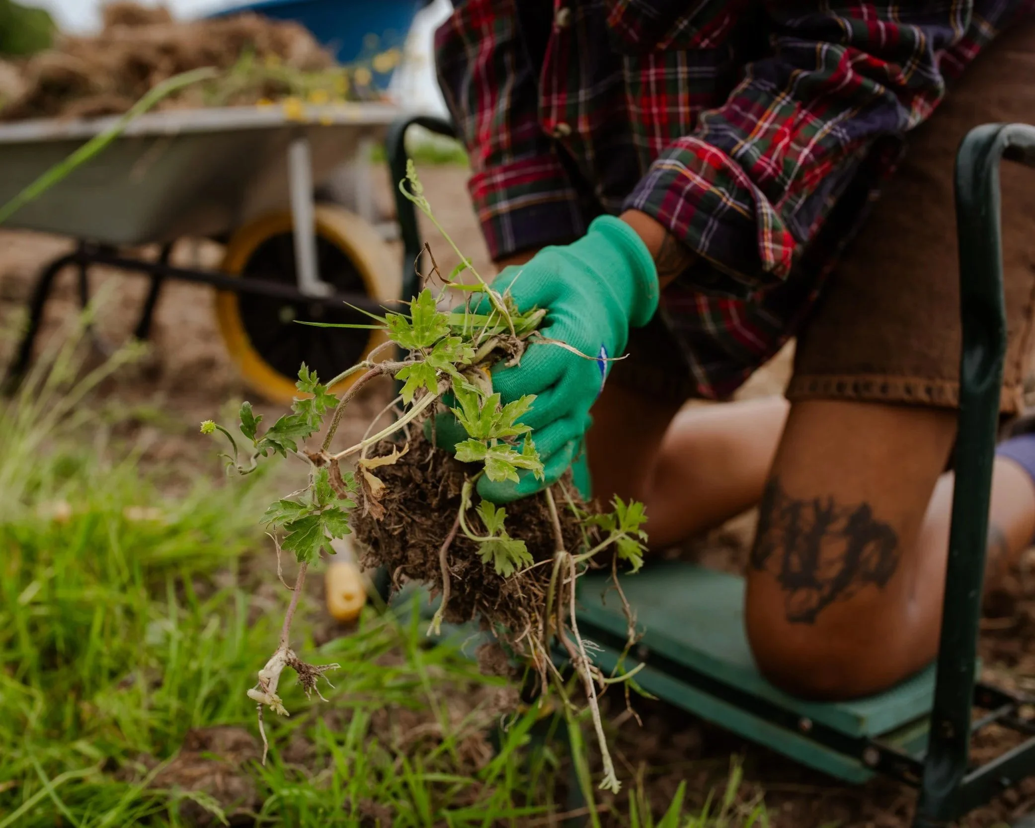 Pathways to Land for BPOC