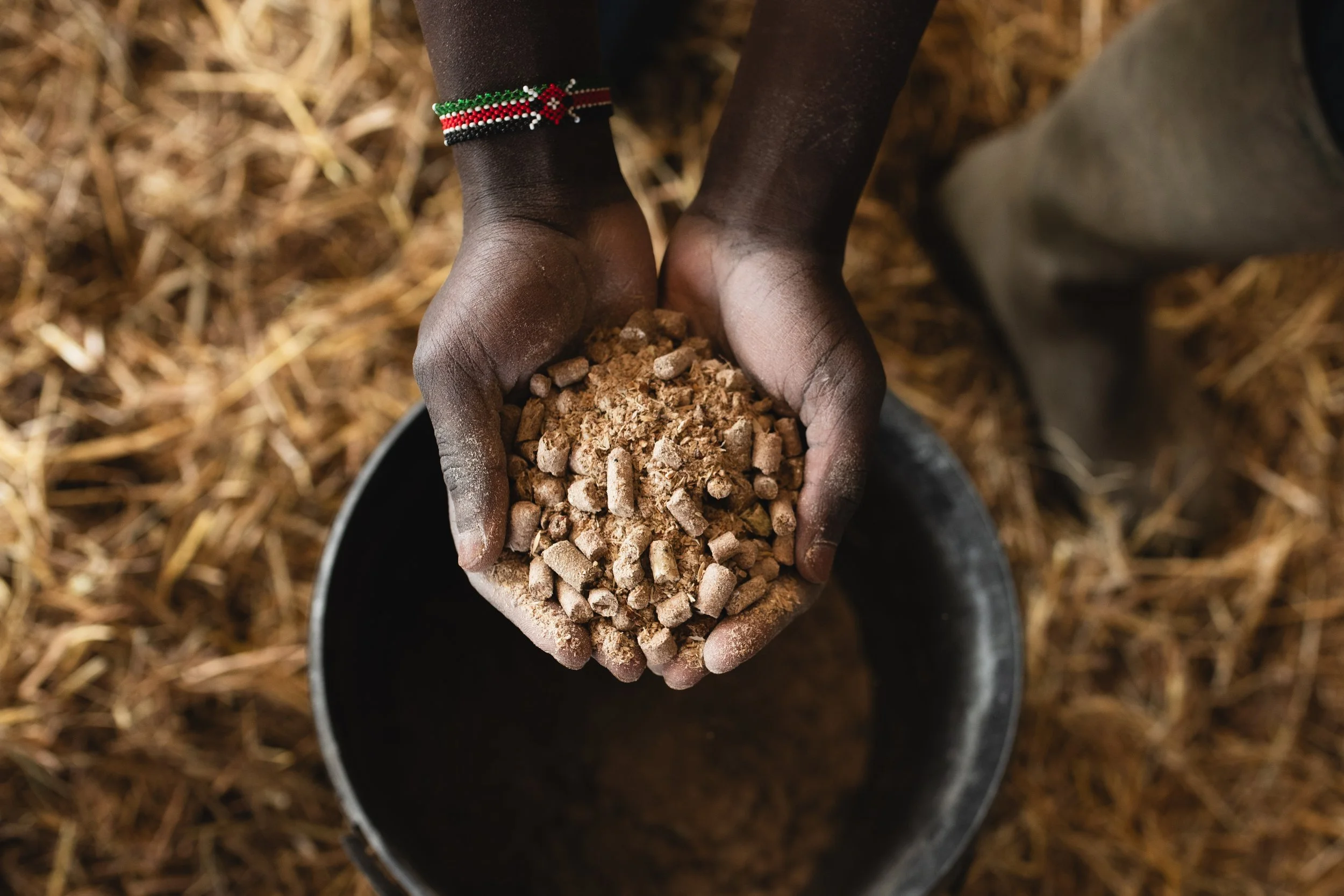 Photo Credit: Tynefield Farm, Photographed by Phoebe Davies for Culture Roots Collective, 2026