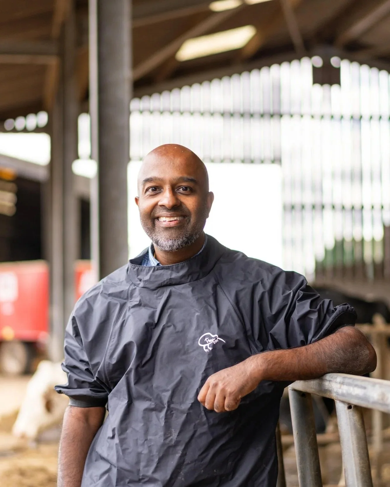 A man wearing ppe stands in a cow shed