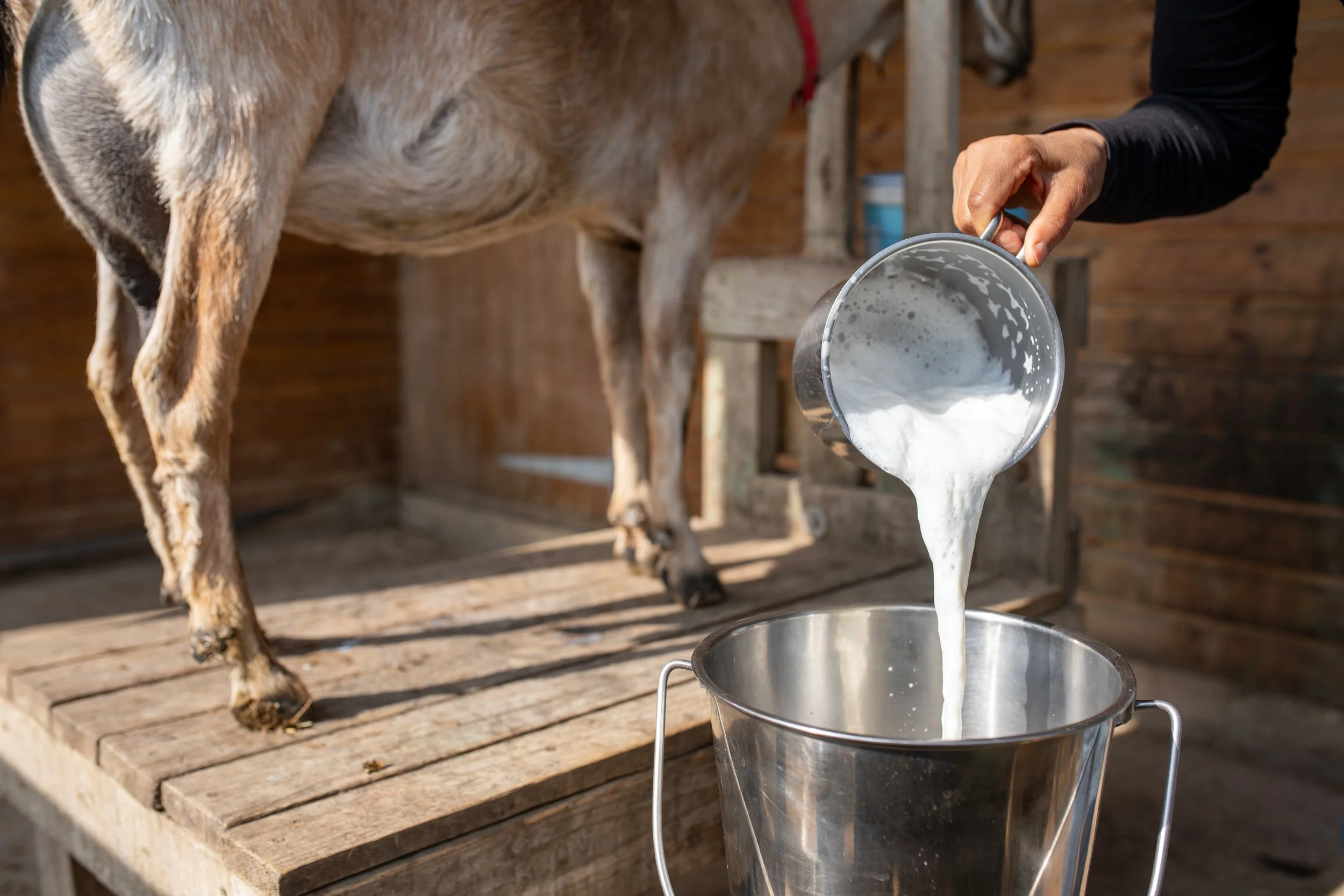 WillowbrookFarm0799_20260505_CC.jpg