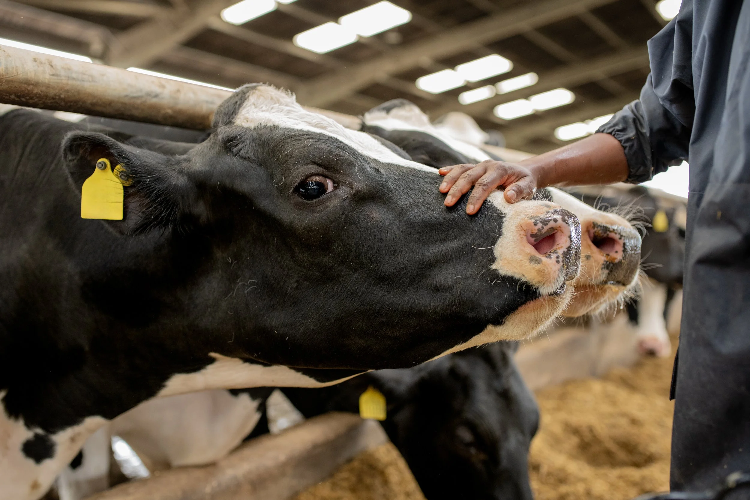 Photo Credit: Veterinary students and scholars, Photographed by Phoebe Davies for Culture Roots Collective, 2026