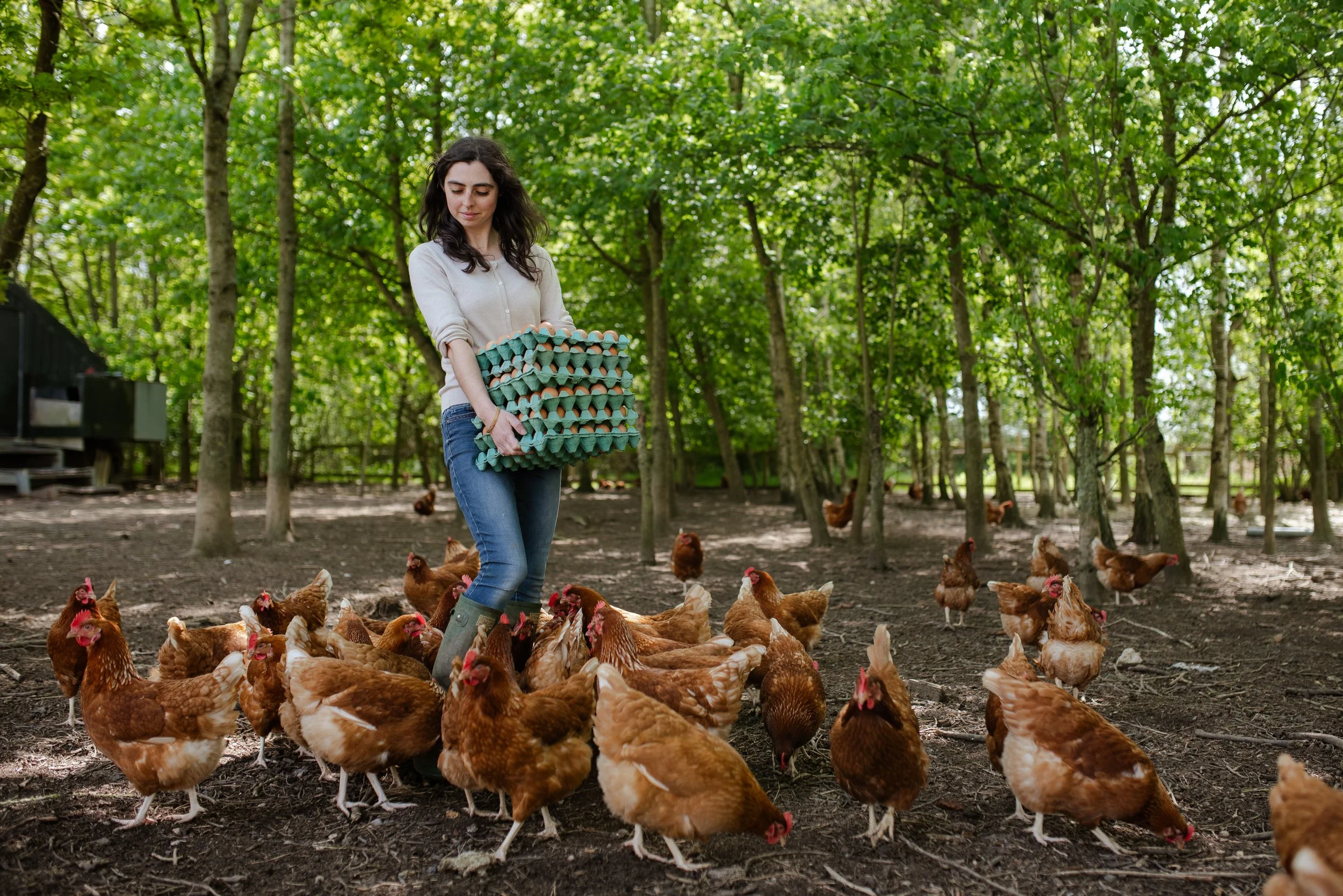 Photo Credit: Willowbrook Farm, Photographed by Phoebe Davies for Culture Roots Collective, 2026