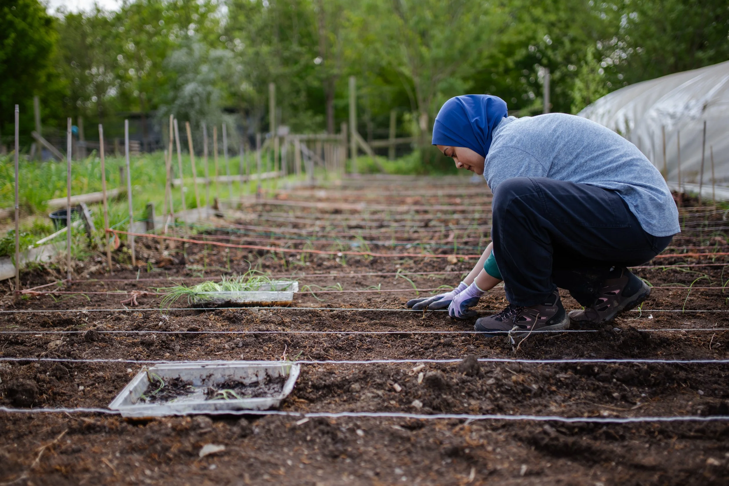 Photo Credit: Willowbrook Farm, Photographed by Phoebe Davies for Culture Roots Collective, 2026