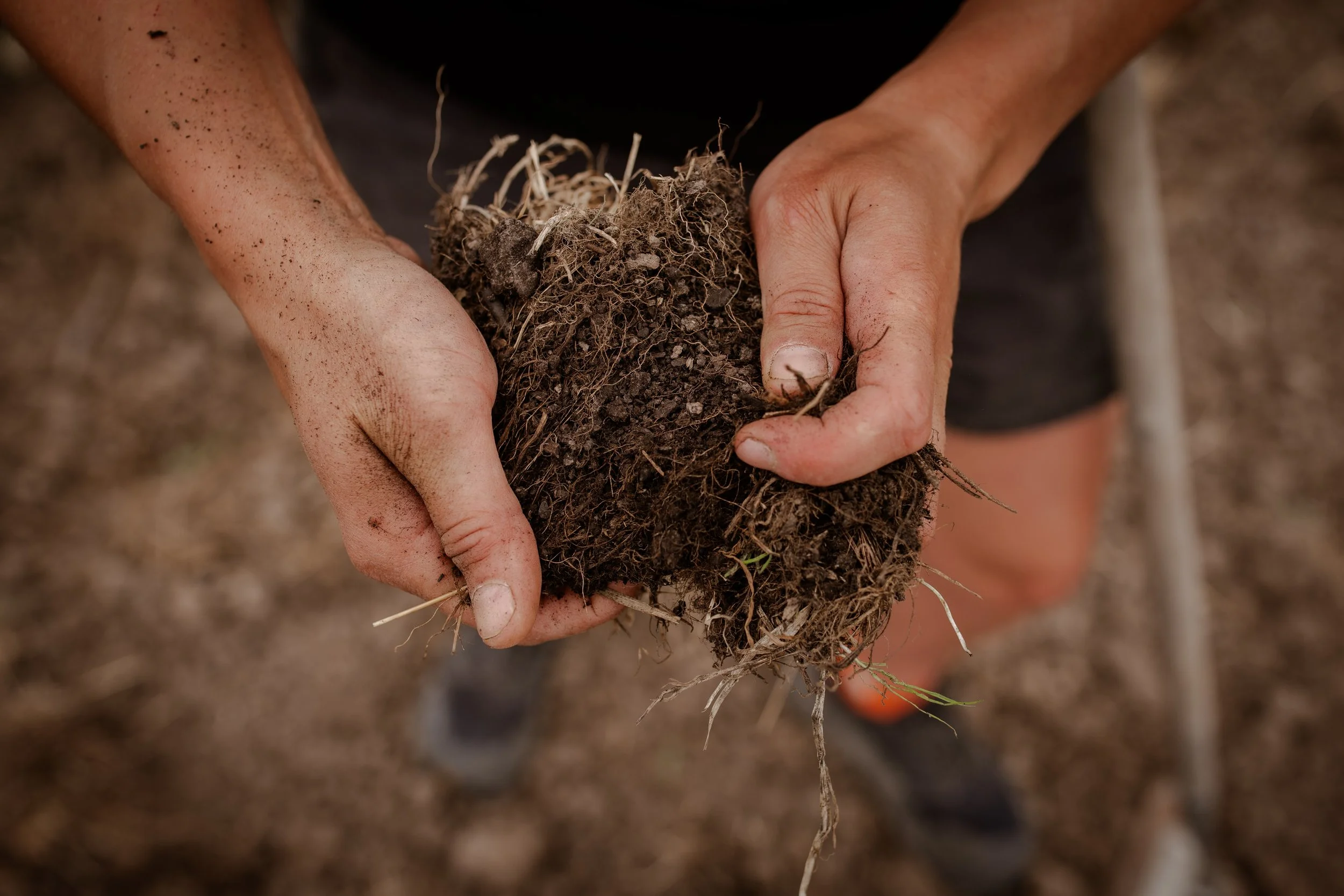 Photo Credit: Teasel Coop, Photographed by Phoebe Davies for Culture Roots Collective, 2026