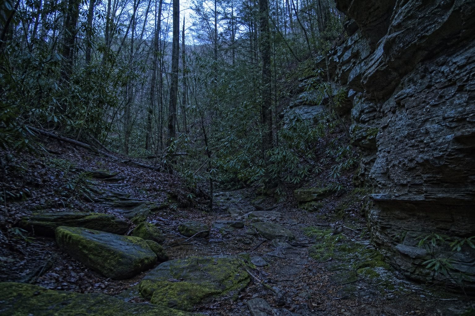 Moss-covered boulders and a layered rock wall line a dim, wooded ravine beneath tall, bare trees in cool, bluish light.