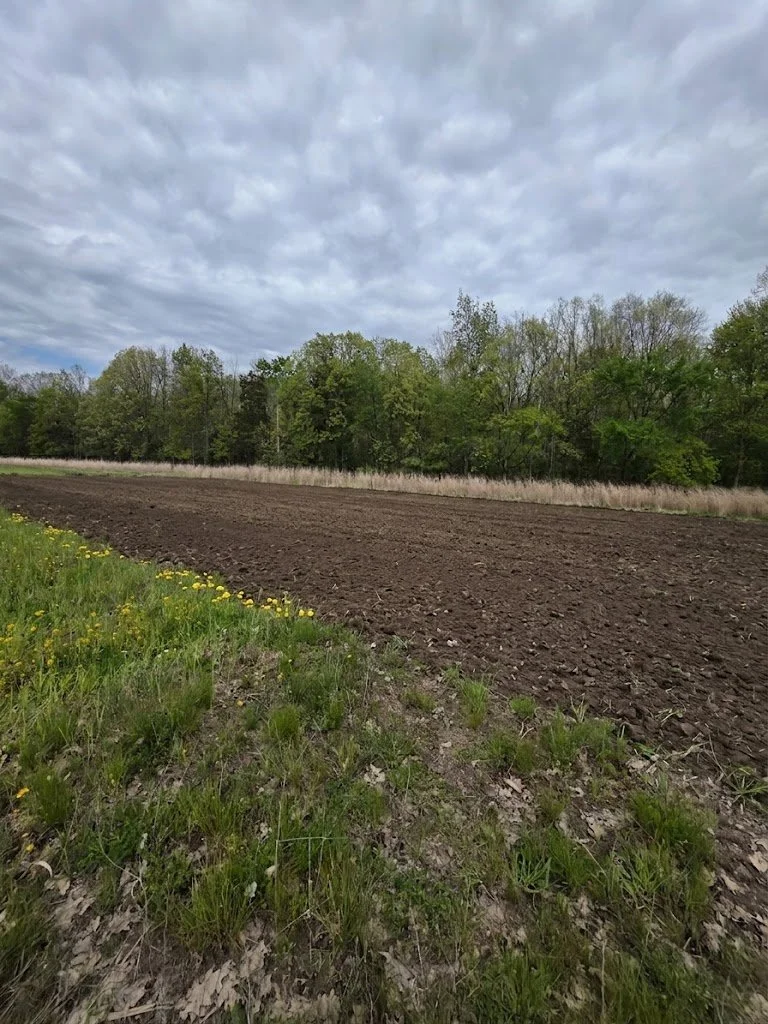 freshly turned dark soil bordered by dandelions and grass with a dormant switchgrass edge and spring hardwood canopy in the background on a Michigan whitetail property