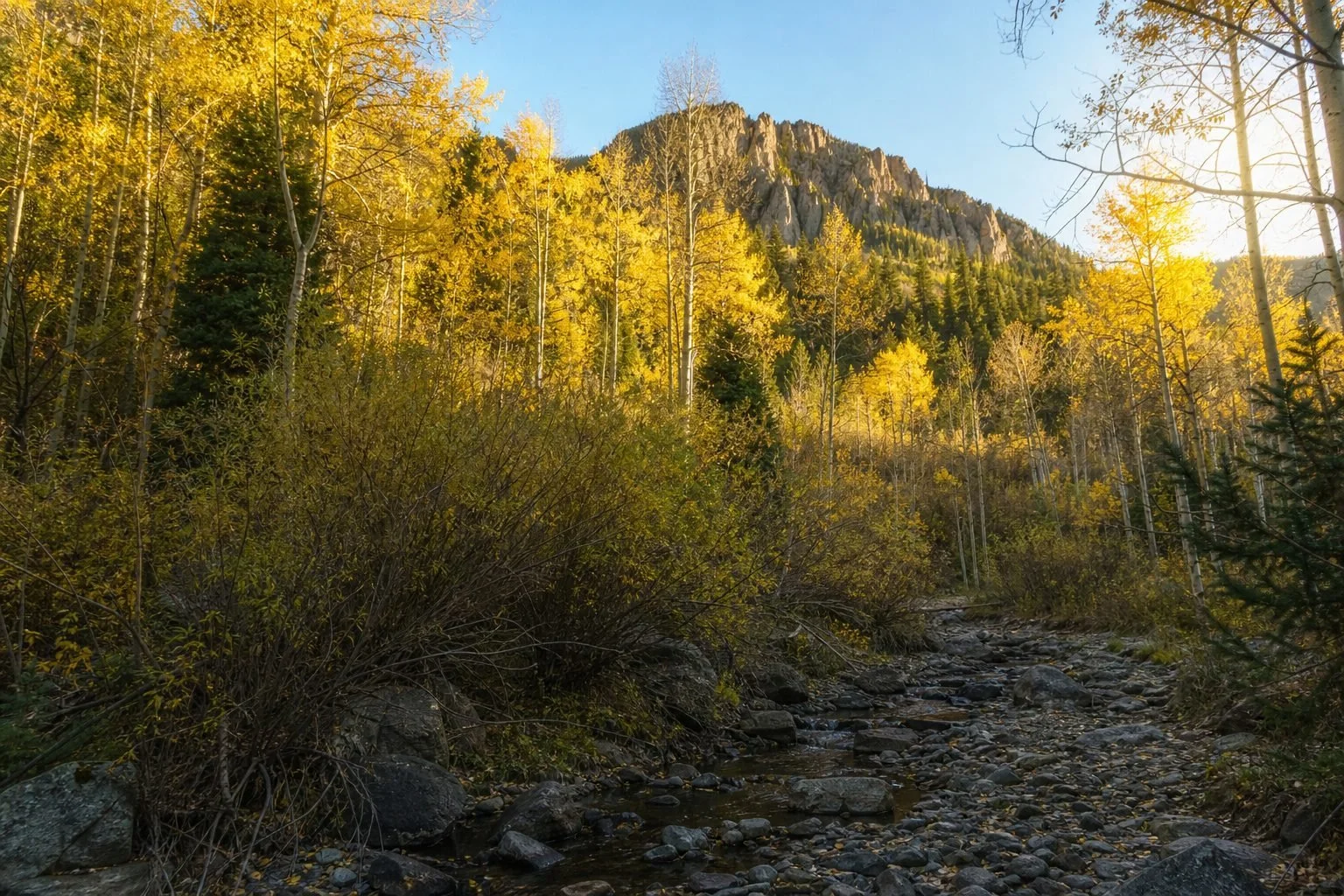 Public hunting land landscape for gear that earns its spot in colorado deer country