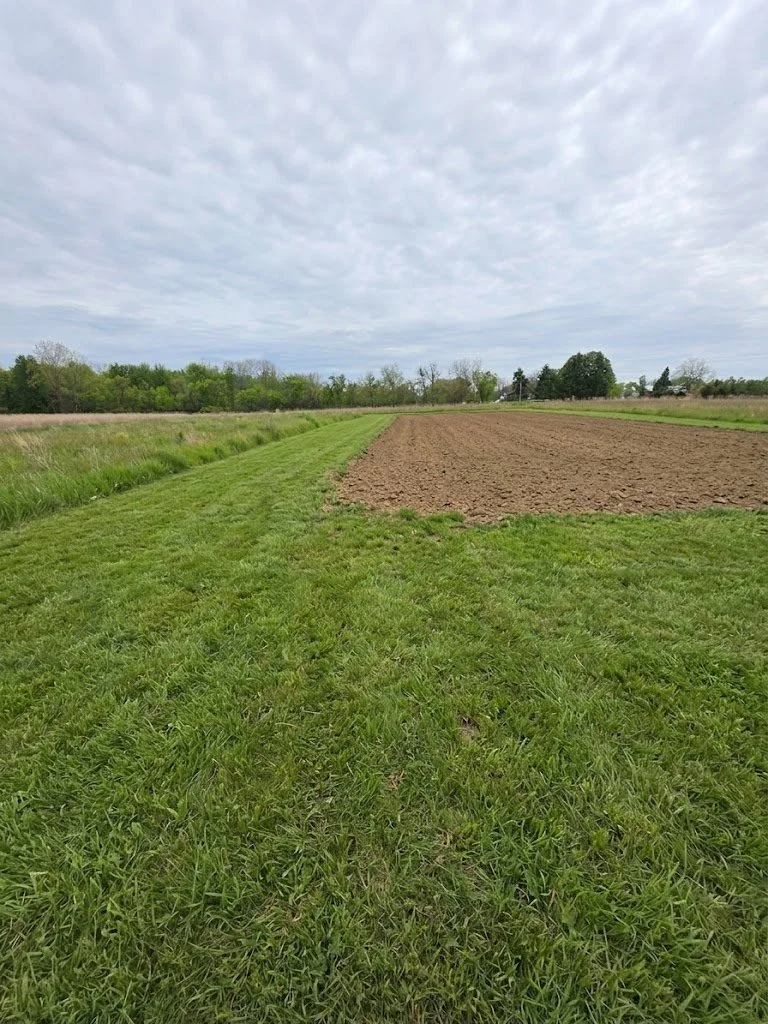 Freshly tilled food plot soil on a southwest Michigan hunting property with native grass and timber line in the distance