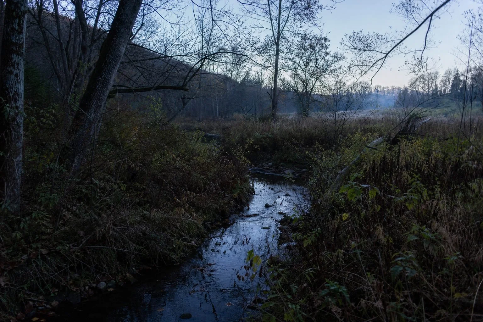Public hunting land landscape for optics and scouting gear on your public land hunting gear list