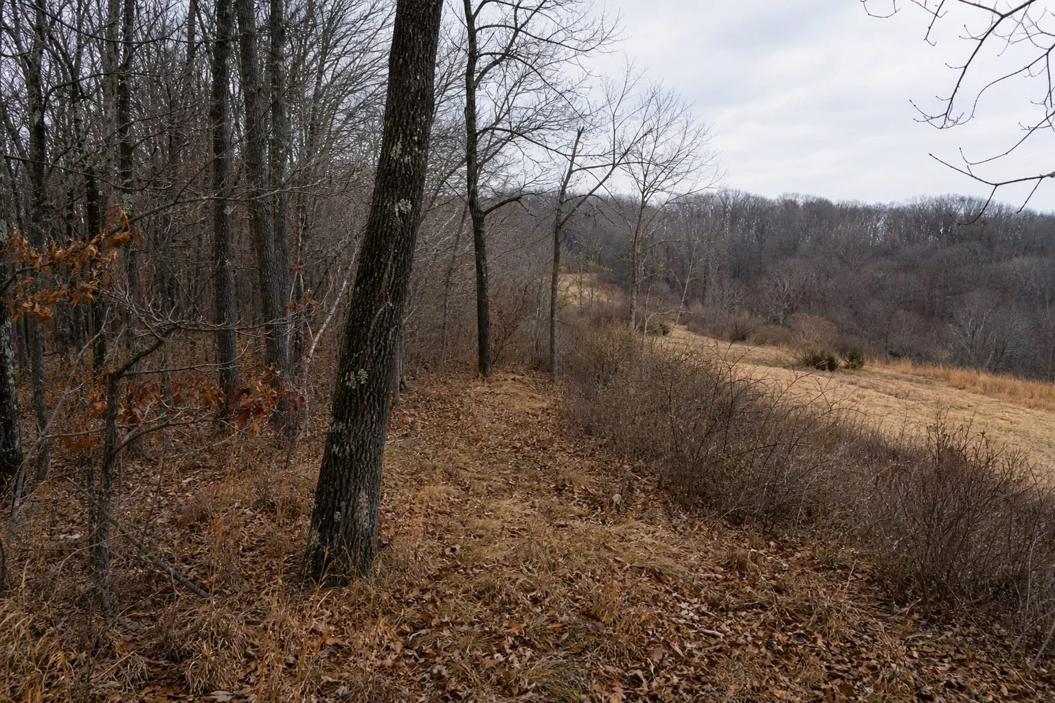 Public hunting land landscape for navigation and access gear for public land