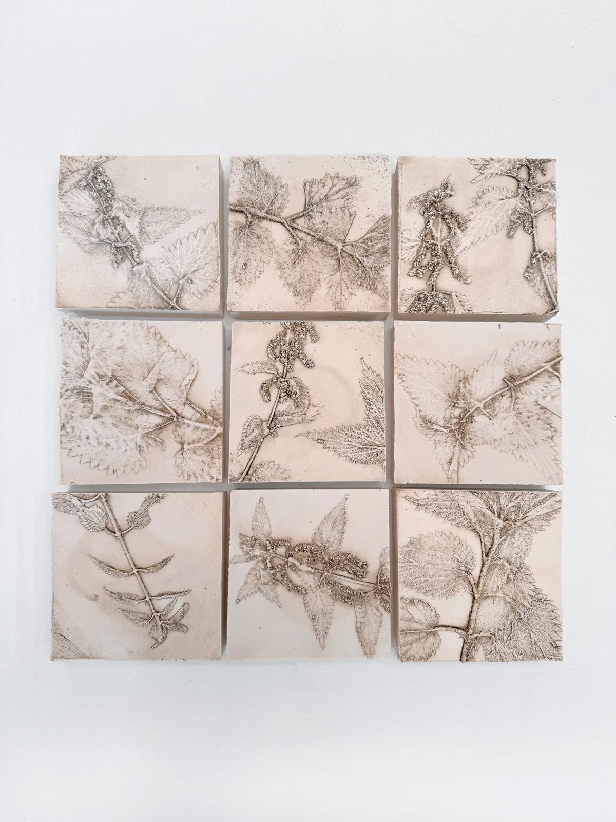 Deconstructed Nettles by Lorna Freytag, nine botanical plaster relief casts arranged in a 3 x 3 grid, featuring cropped and repositioned nettle impressions.