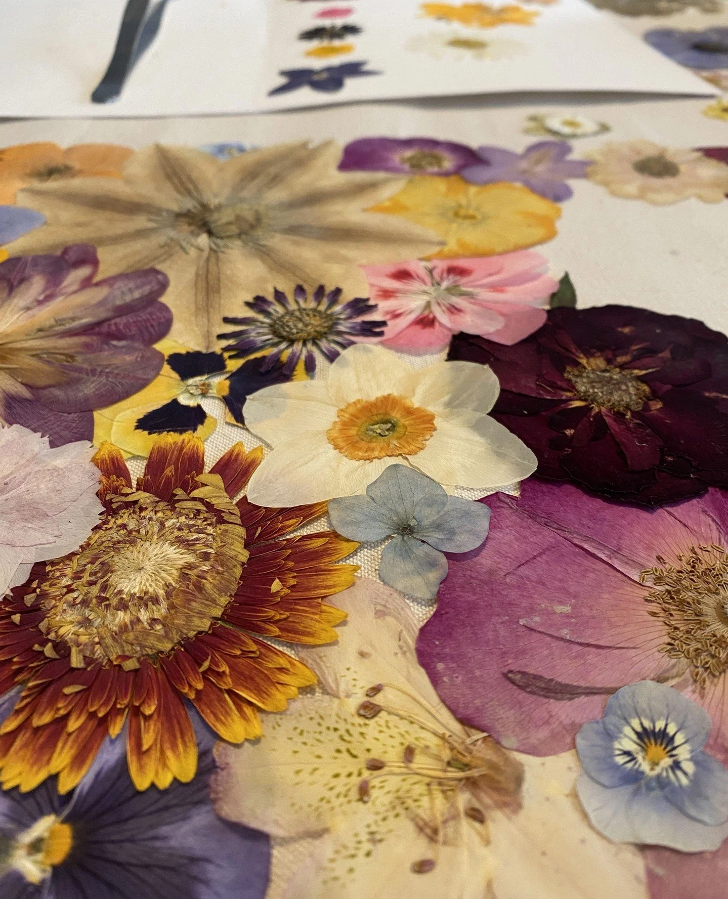 Before i glue them i lay out all my flowers to make sure the colours and textures feel right next to each other. It takes a loooooong time but i love the process.