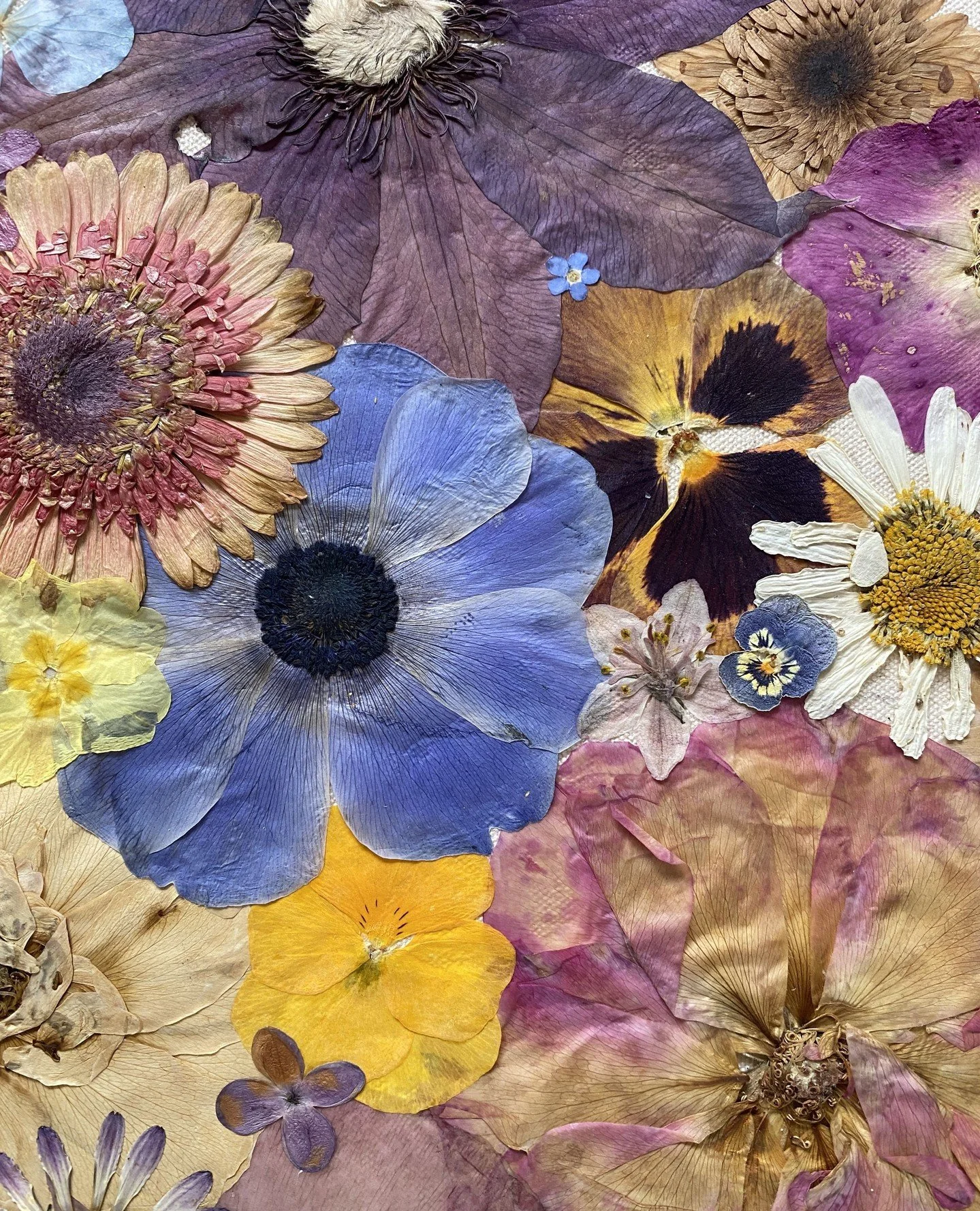 Love the purples and blues in this piece. I wonder how long they'll stay so vibrant...