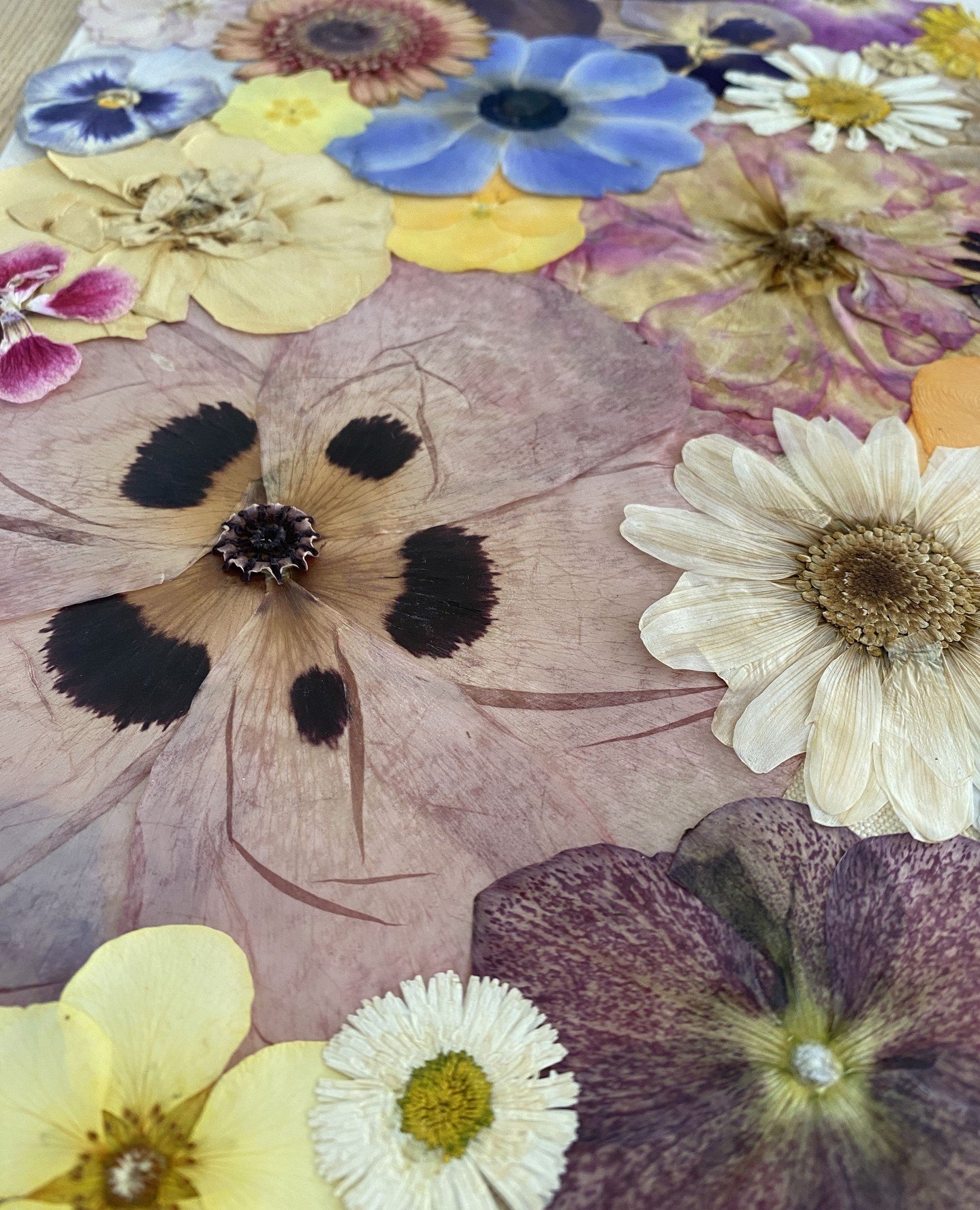 Placed before gluing. Don't breathe!