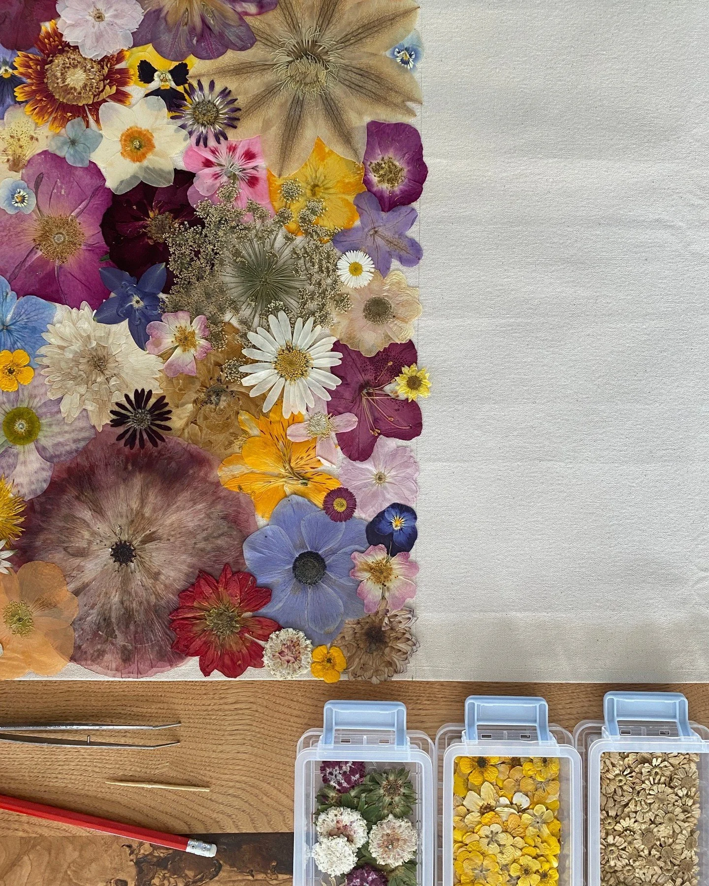 Do I ever get bored of working with flowers? Maybe I will one day but not yet!!😅

#floralsoul #floralflags #floralart #flowerart #pressedflowerartist #artist #natureartist #contemporaryart #natureart #artwork #artistoninstagram #flowersaddict #botan