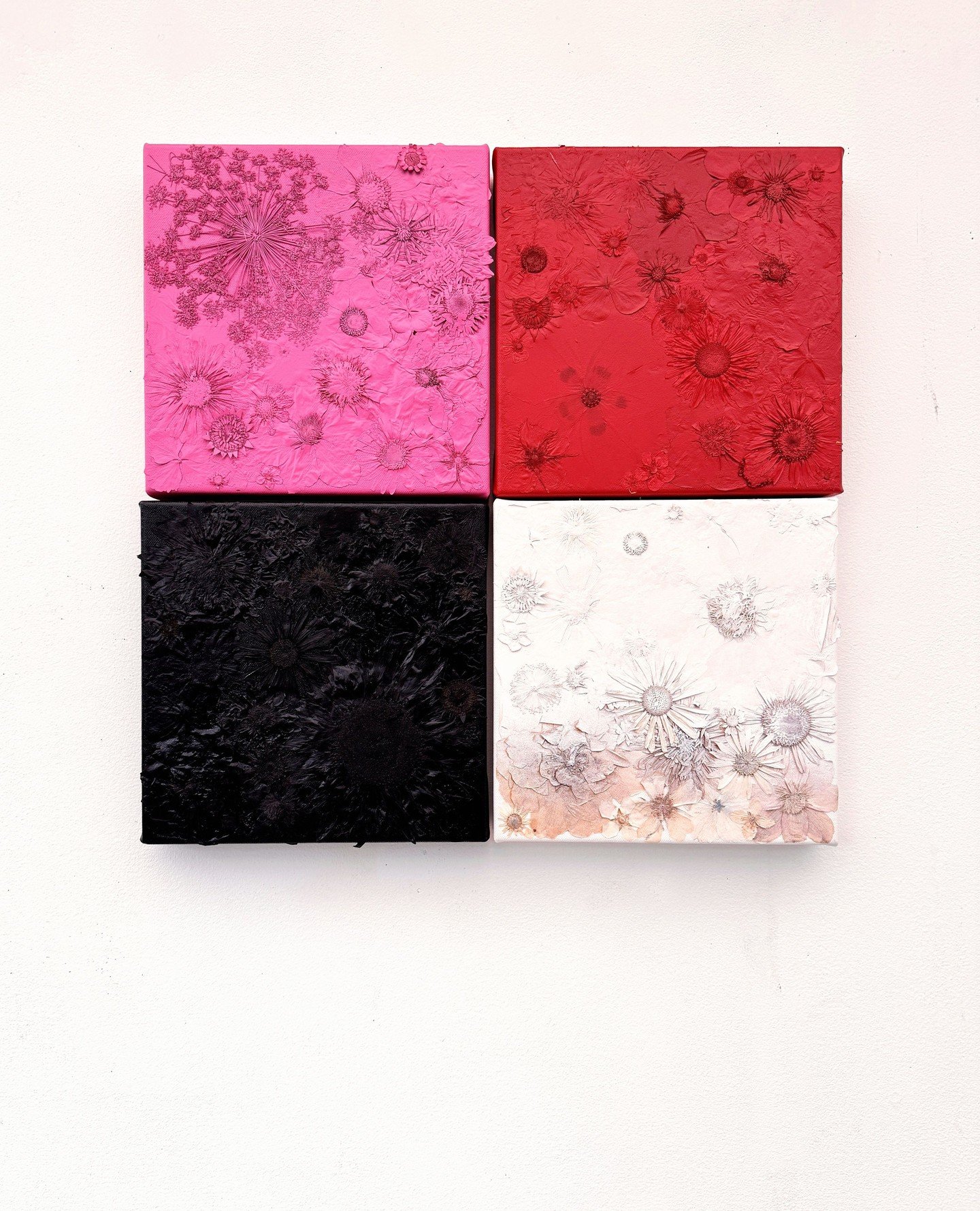 Exploring nature vs synthetic perfection and the need to organise everything into neat, modular systems.⁠
⁠
⁠
#contemporaryart #conceptualart #pressedflowers #colourstudies #naturalvssynthetic #processbasedart #installationart #artistsoninstagram