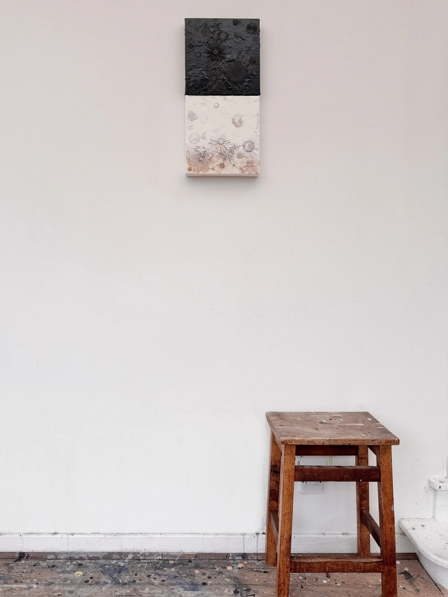 Colour suppressed. Nature remains.⁠
Stripped of colour and oversprayed with black and white leaving only a trace of the natural flowers beneath.⁠
⁠
(Swipe to see close ups)
⁠
#contemporaryart #conceptualart #pressedflowers #colourstudies #naturalvssy