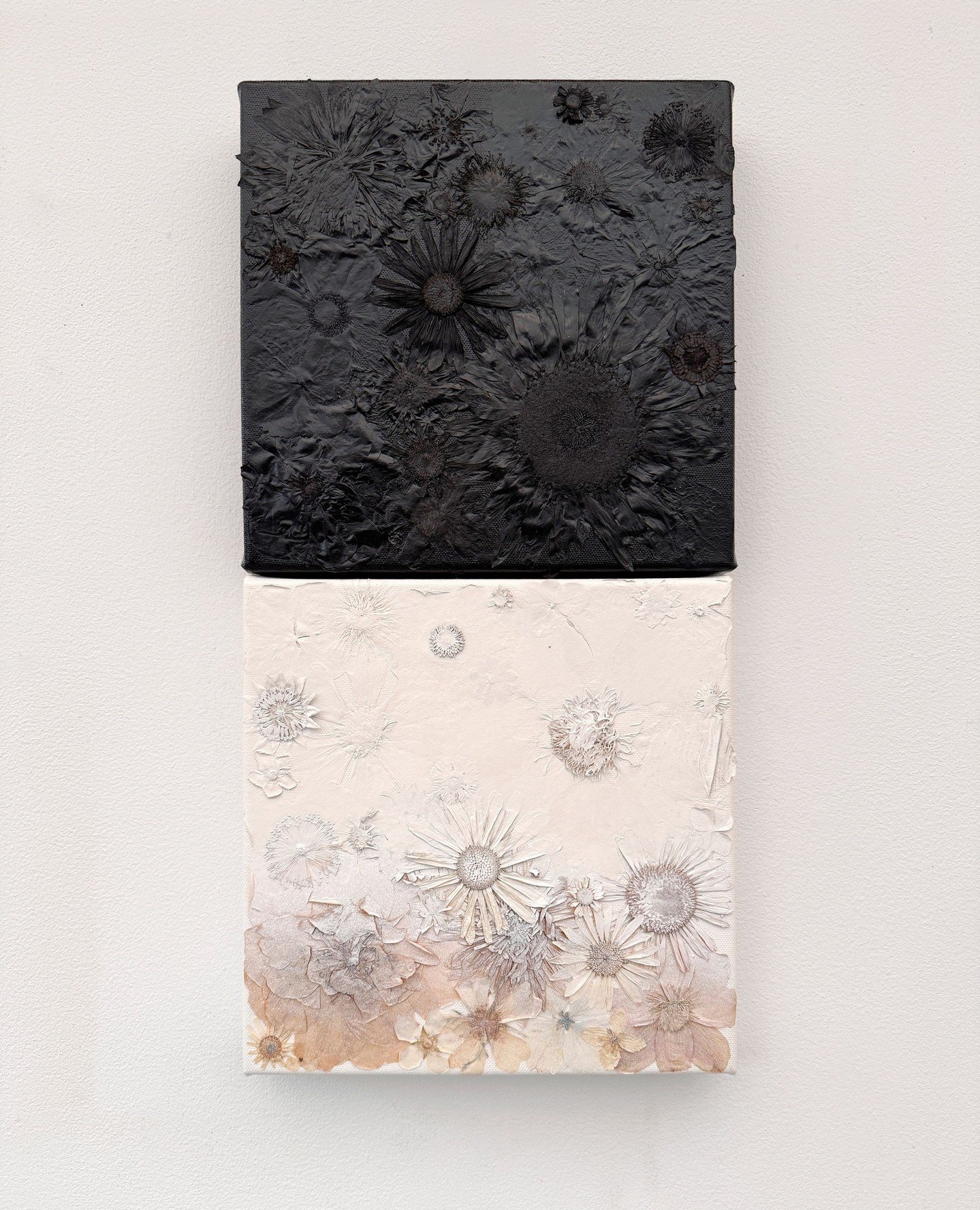 An exercise in control. Natural colour almost erased but not entirely. Oversprayed works exploring the reduction of natural colour through synthetic processes.⁠
⁠
⁠
#contemporaryart #conceptualart #pressedflowers #colourstudies #naturalvssynthetic #p