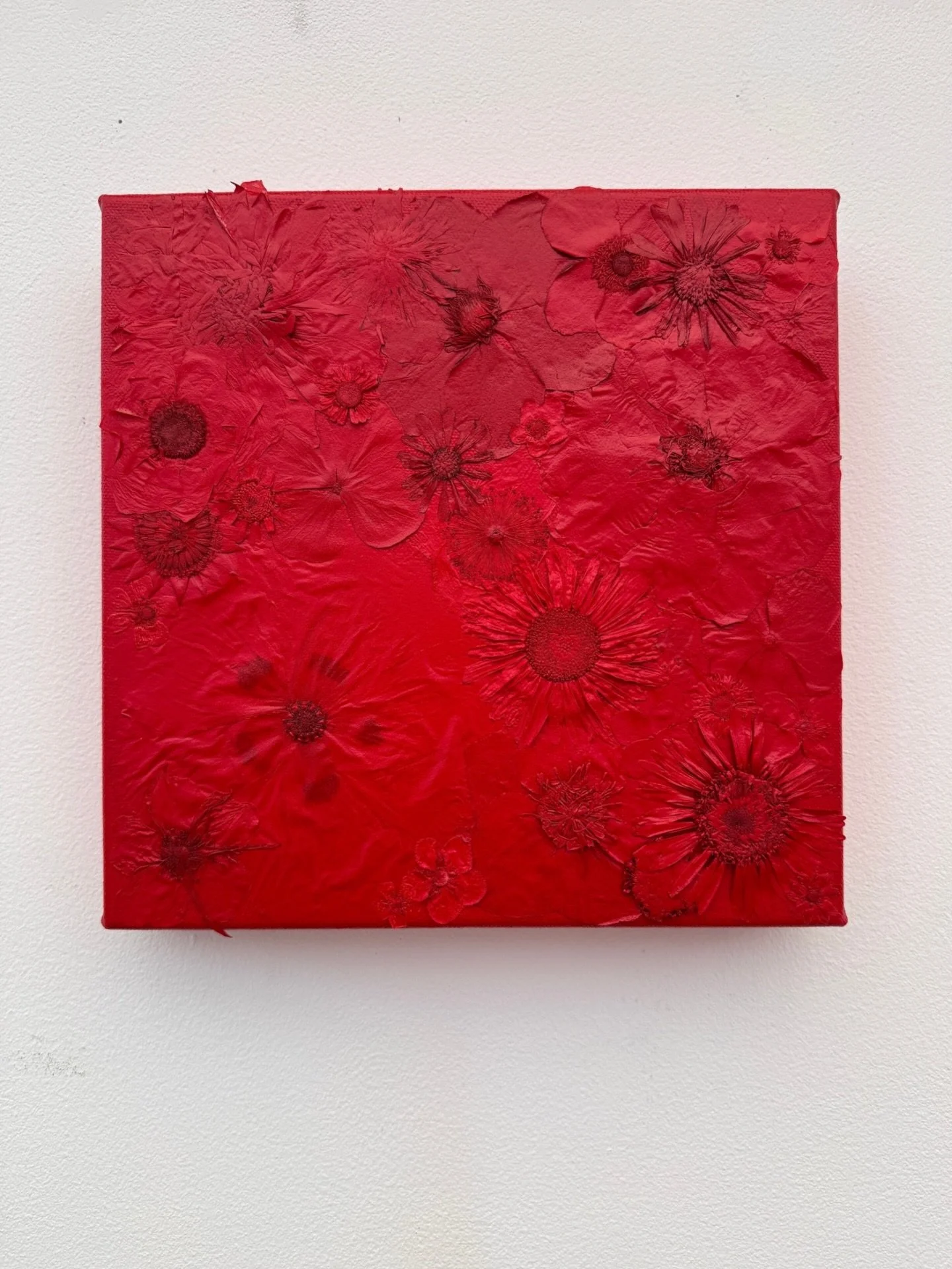 Red.
My modular canvases bring order to something natural, while synthetic colour tries to hold it still.

Pressed flowers on canvas
Over sprayed with red acrylic paint
25 x 25cm

(Can be hung alone or grouped with other panels)

#naturalvssynthetic 