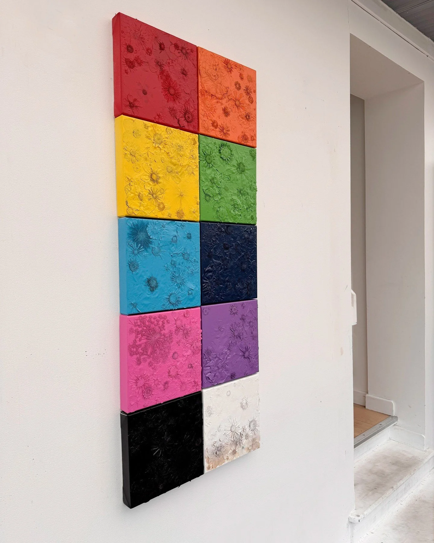 &lsquo;Spectrum&rsquo;

Exploring nature vs synthetic perfection and control using modular panels that can shift, repeat and rearrange. 

Pressed flowers on canvas
Oversprayed with acrylic paint
50 x 125cm
(Made up of 10 individual panels)

#contempo