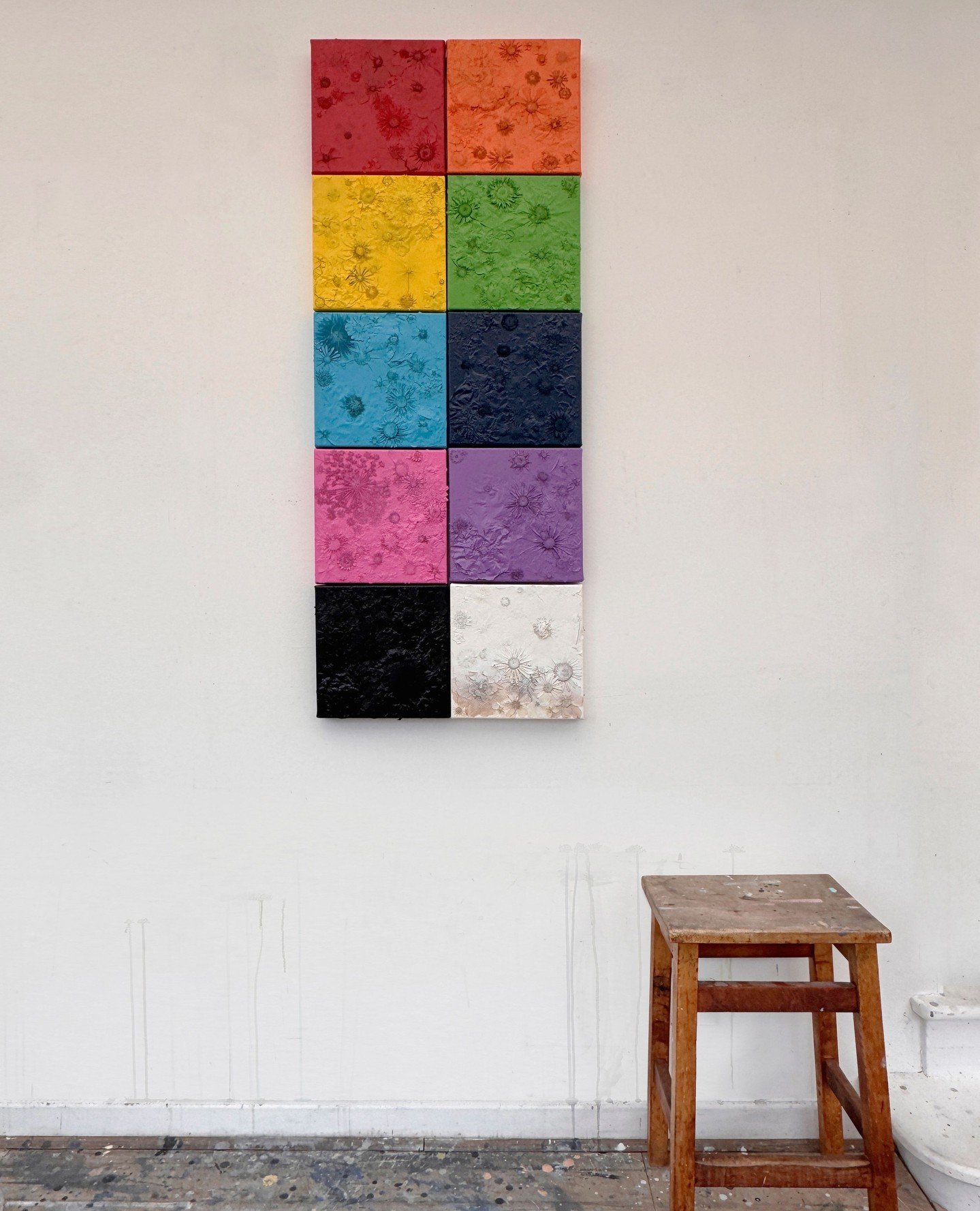 Using pressed flowers in modular arrangements to look at the push and pull between nature&rsquo;s impermanence and our fixation on order.⁠
⁠
'Spectrum'⁠
Pressed flowers on canvas oversprayed with acrylic paint⁠
50cm x 125cm (made up of ten individual