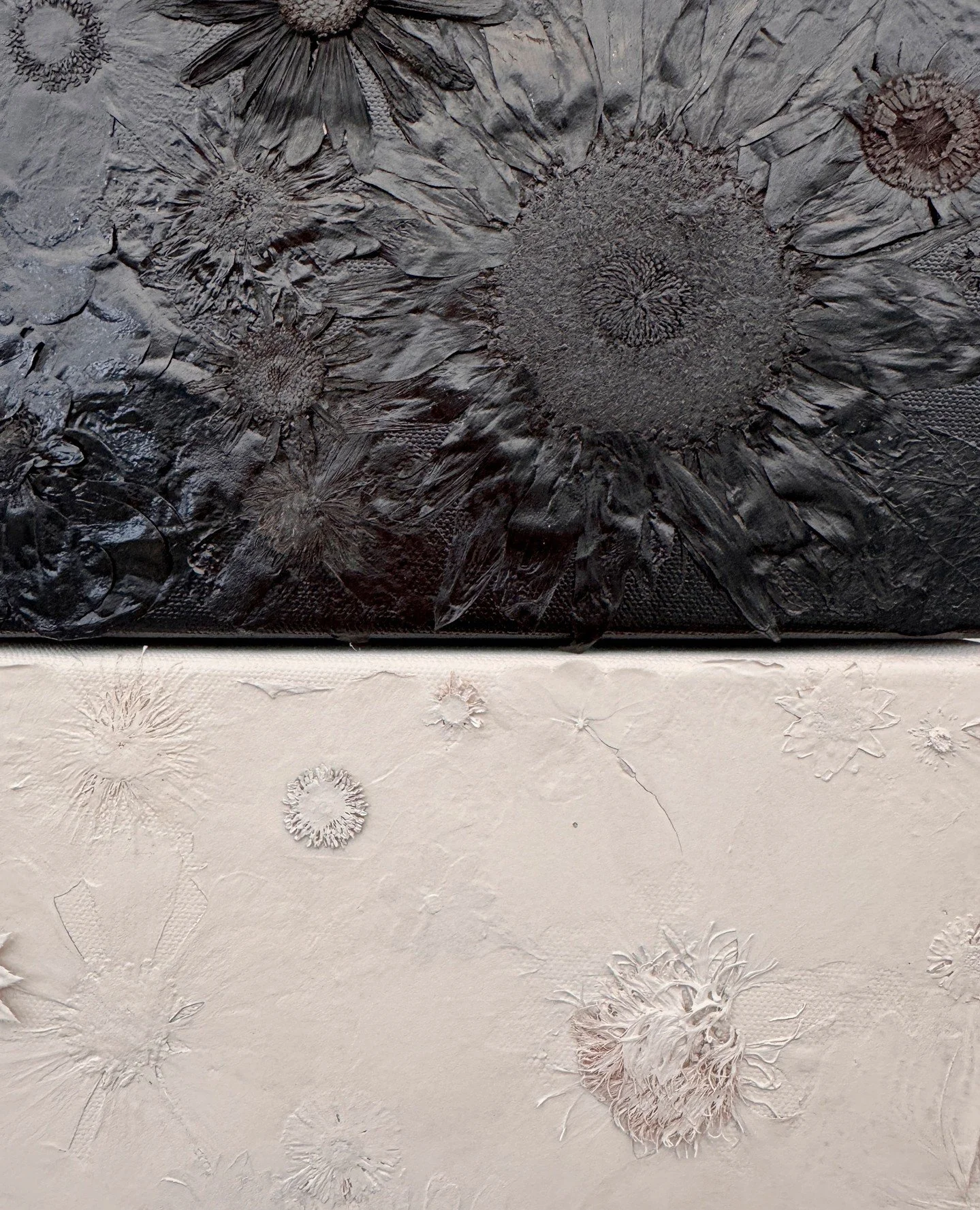 Colour removed. Nature still present⁠
Stripped of colour and oversprayed with black and white leaving only a trace of the natural material beneath.⁠
⁠
⁠
#naturalvssynthetic⁠
#impermanence⁠
#colourtheory⁠
#artandnature⁠
#processbasedart