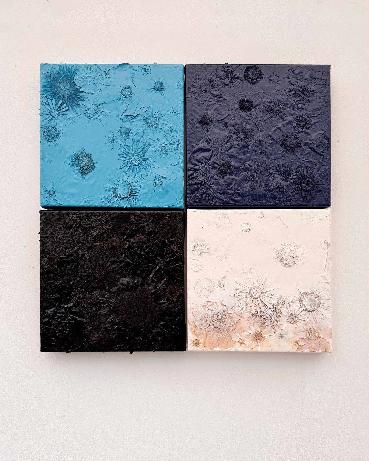 'Blue, Navy, Black &amp; White'⁠
50cm x 50cm⁠
⁠
Pressed flowers on canvas oversprayed with acrylic paint leaving a small section of untouched flowers that will fade slowly over time.⁠
(made up of four individual panels)⁠
⁠
⁠
⁠
#contemporaryart #conce