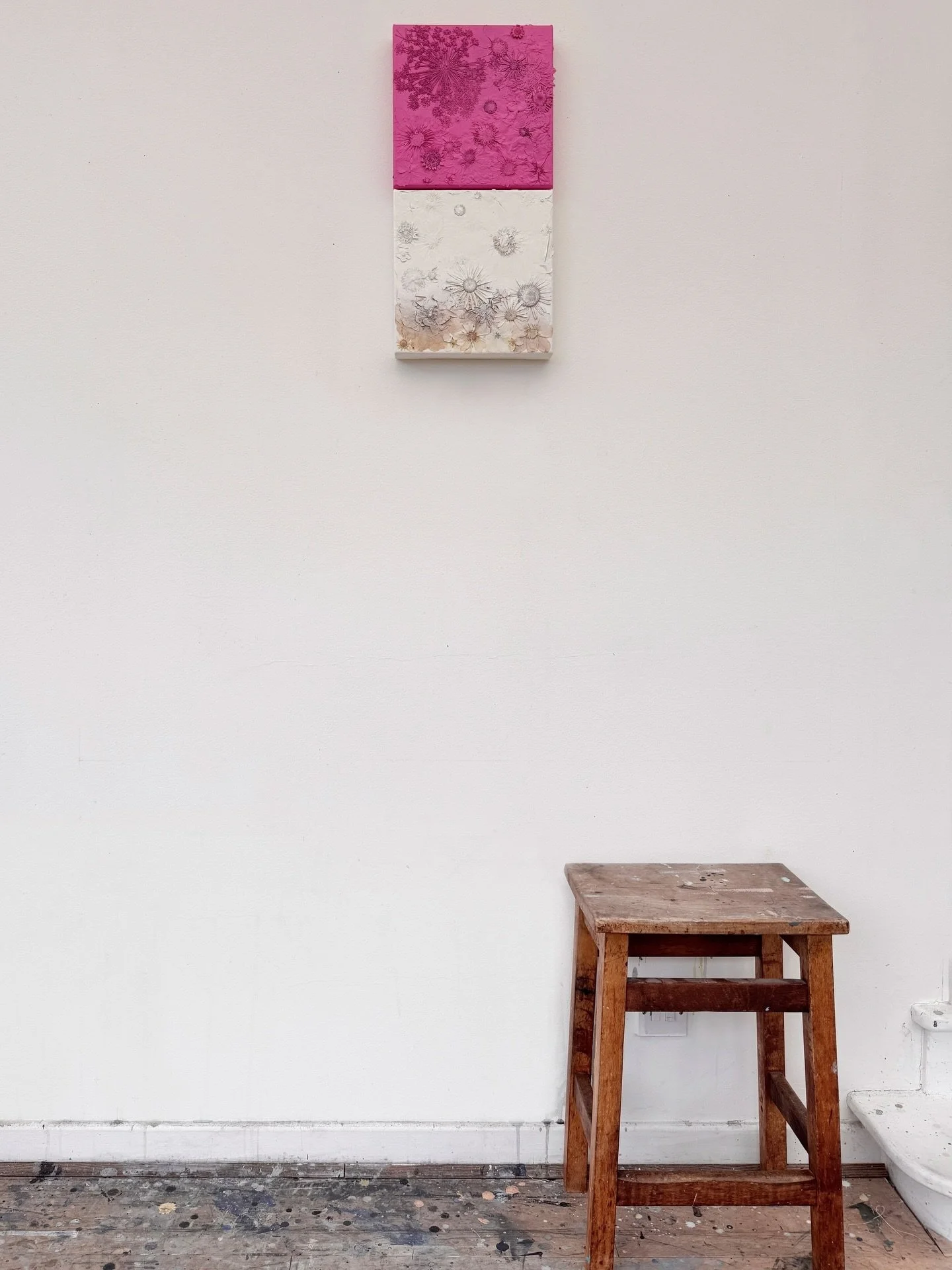 &lsquo;Pink and White&rsquo;⁠
⁠
Pressed flowers on canvas oversprayed with acrylic paint.⁠
25cm x 50cm⁠
(made up of two square panels)⁠
⁠
⁠
#contemporaryart⁠
#conceptualart⁠
#botanicalart⁠
#pressedflowers⁠
#colourstudies⁠
materialpractice⁠
artprocess