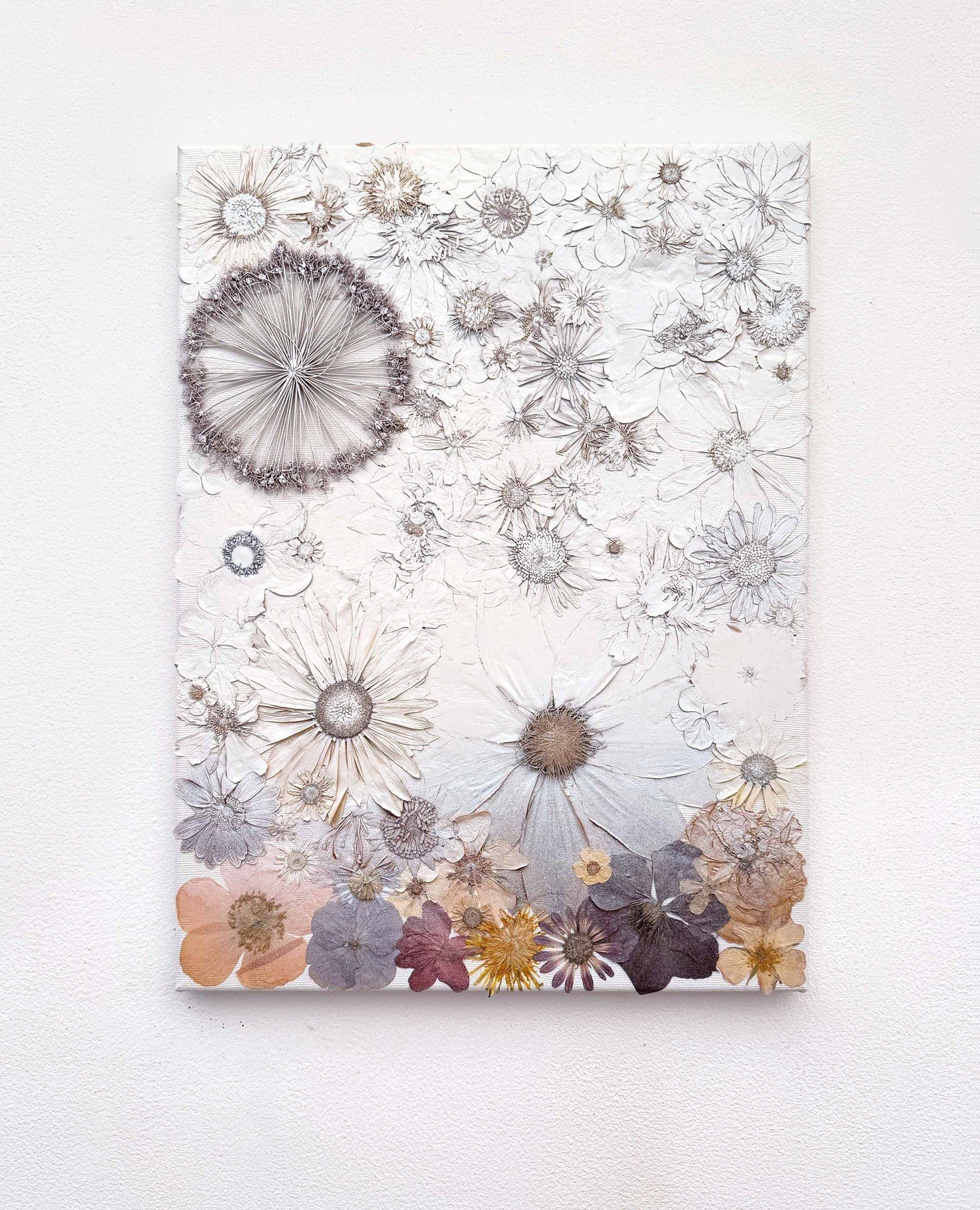 One of my personal favourites.⁠
⁠
"Only White"⁠
31 x 41cm⁠
Pressed flowers on canvas over-sprayed with white acrylic paint.