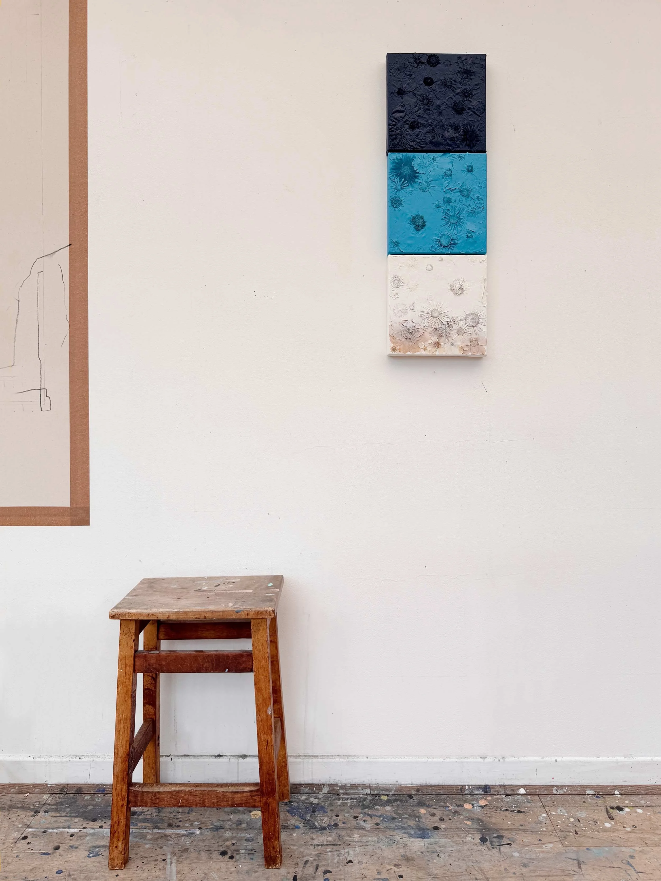 &lsquo;Drift&rsquo;

25x75cm
Pressed flowers on canvas oversprayed with acrylic paint (dark navy, blue and white).

#contemporaryart #conceptualart #pressedflowers #colourstudies #naturalvssynthetic
