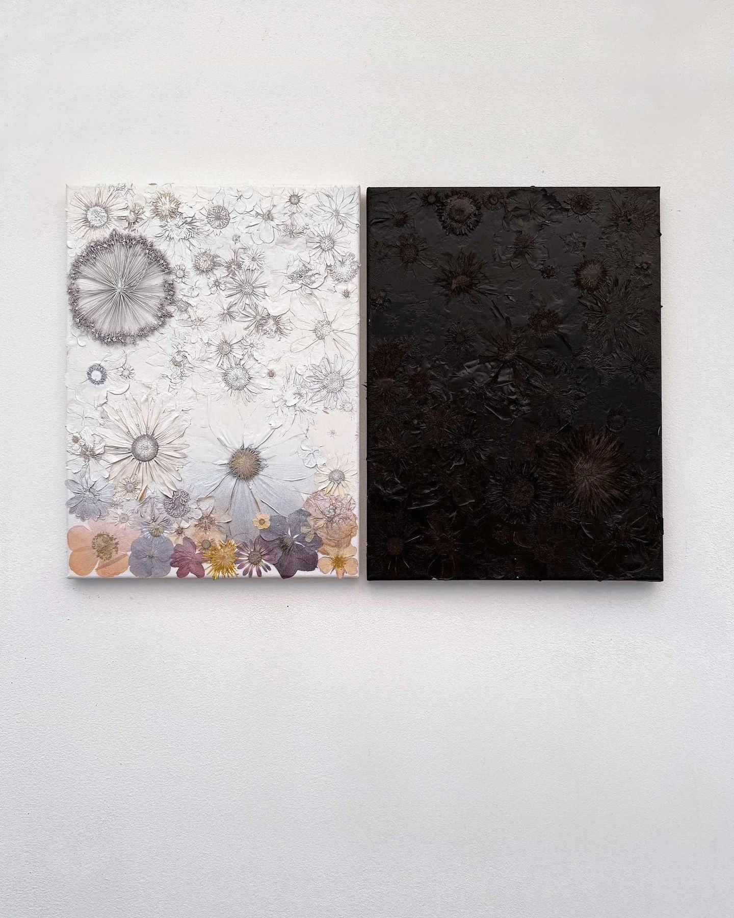 Pressed flowers on canvas panels, over-sprayed with acrylic paint. Made up of 2 modular panels.⁠
⁠
62 &times; 41 cm⁠
⁠
(Part of the beauty of this piece is that the colours of the unsprayed section of flowers will change and fade further over time.)⁠