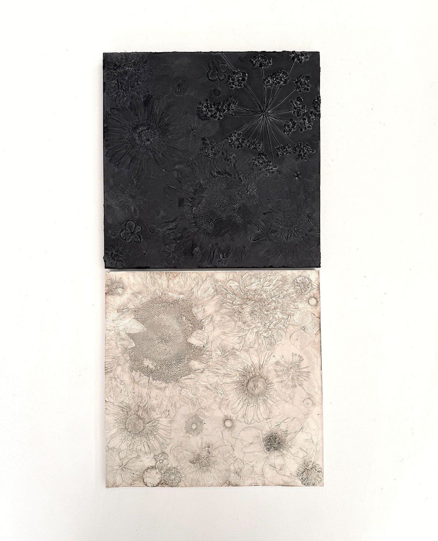 Moving from pressed flowers into botanical casting and starting to see where this new work might take me. I love how different the botanical details are in the black jesmonite versus the natural plaster. ⁠
⁠
#botanicalart #basrelief #contemporaryart 