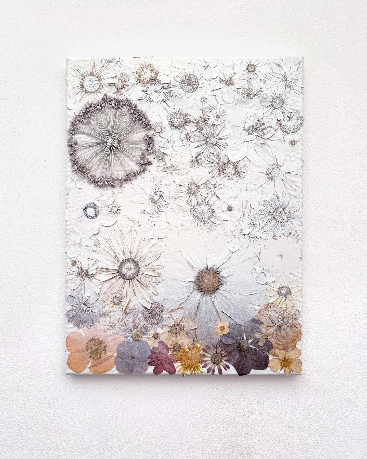 So excited to have this piece selected for this years ING Discerning Eye @discerningeyeorg at London&rsquo;s Mall Galleries in November 😁

&lsquo;Becoming&rsquo;
Pressed flowers on canvas oversprayed with white acrylic paint
31x41cm

🗓️ The Discern