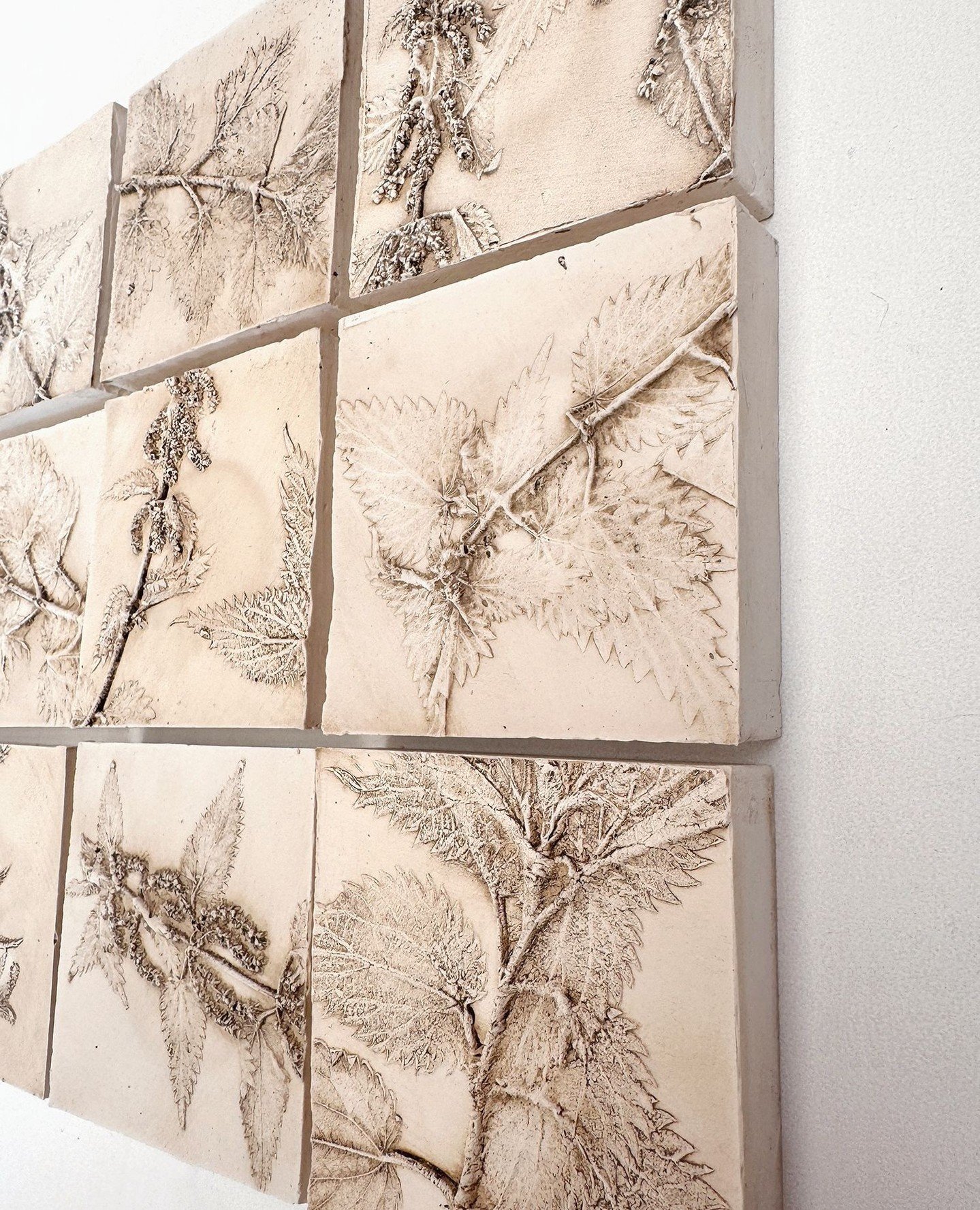 New work: 'Deconstructed - Nettles'⁠
Nine casts made from real nettles, cropped and repositioned across a grid. The casting has picked up so much detail that they almost look like they could still sting you. ⁠
⁠
#botanicalart #basrelief #nettles #con