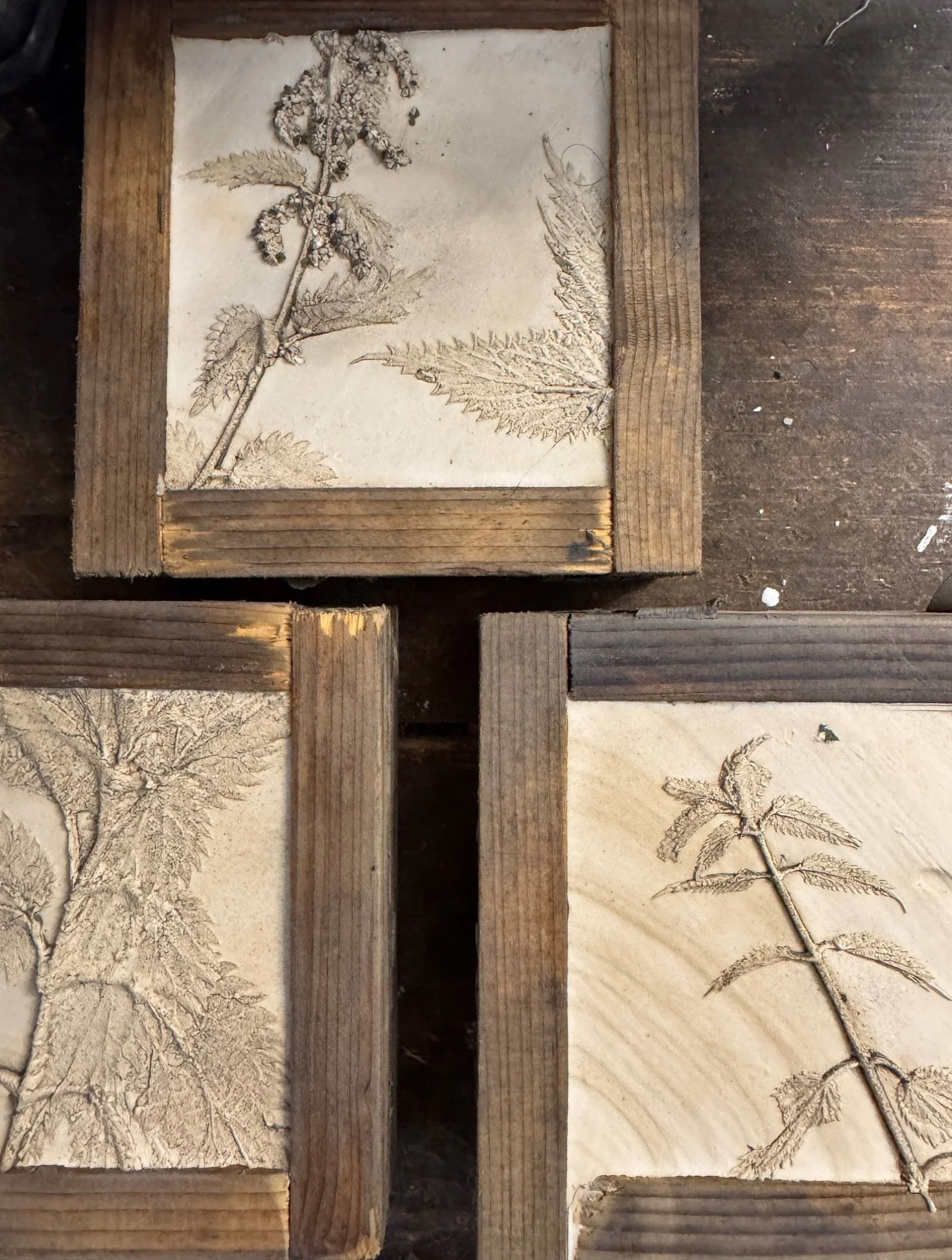 A little glimpse into the making of my nettle piece 🌿

This is just after I&rsquo;d pulled away the clay, revealing the nettle impressions in the plaster, still sitting in their wooden moulds.

I always love this part of the process. There&rsquo;s s