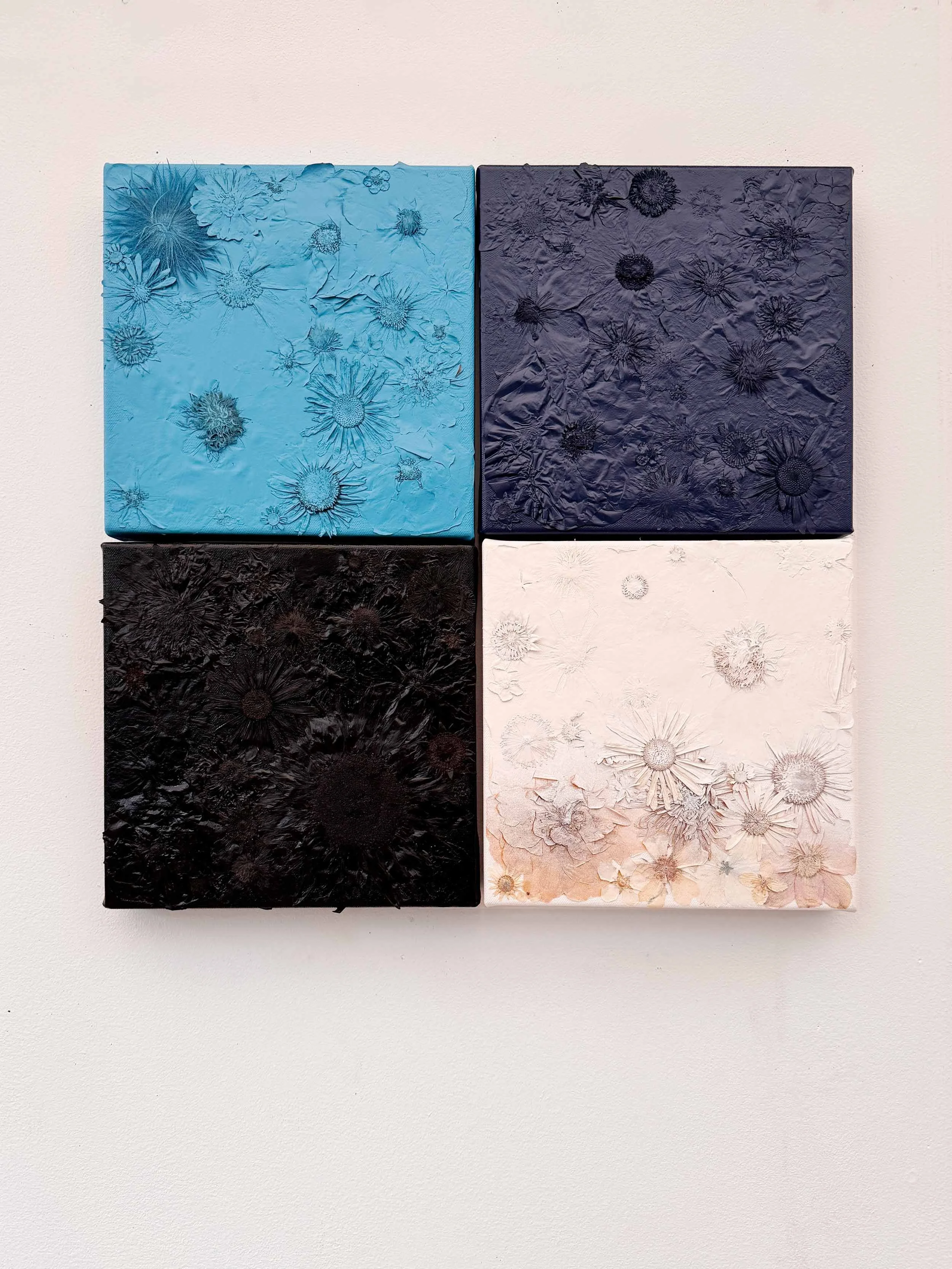 Blue, Navy, Black & White