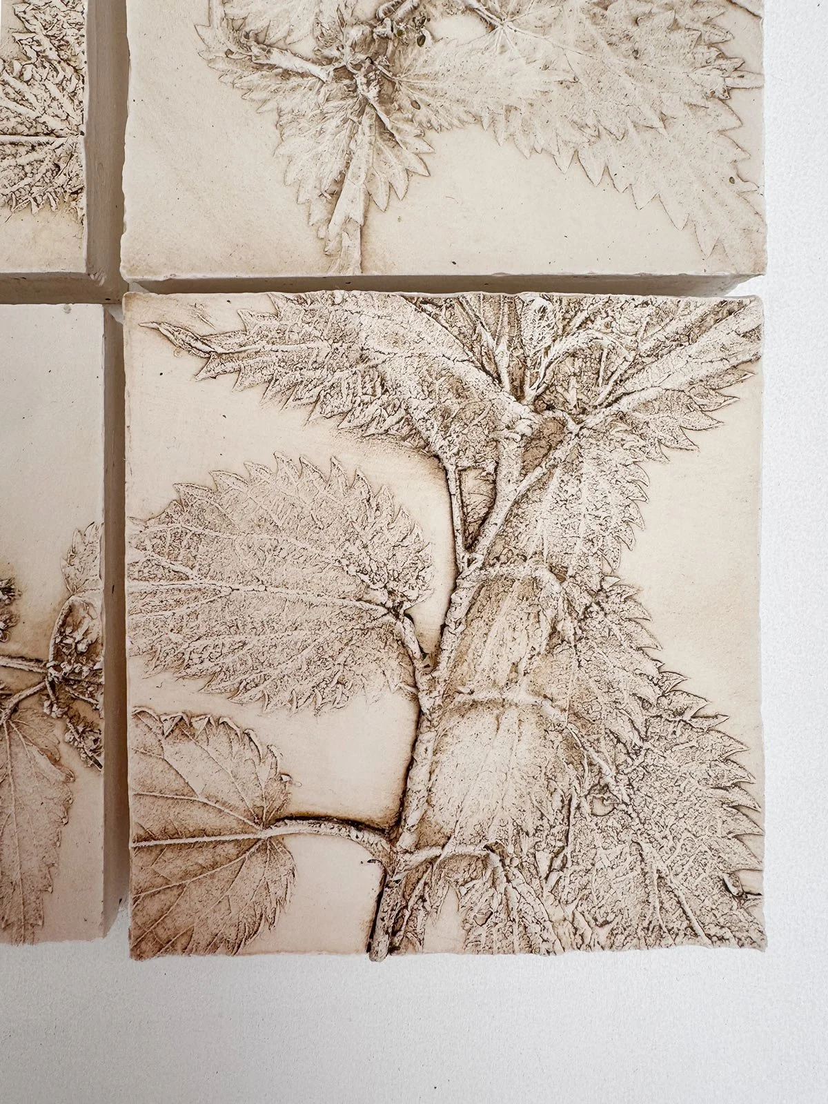 Lorna-Freytag-Deconstructed-Nettles4.jpg