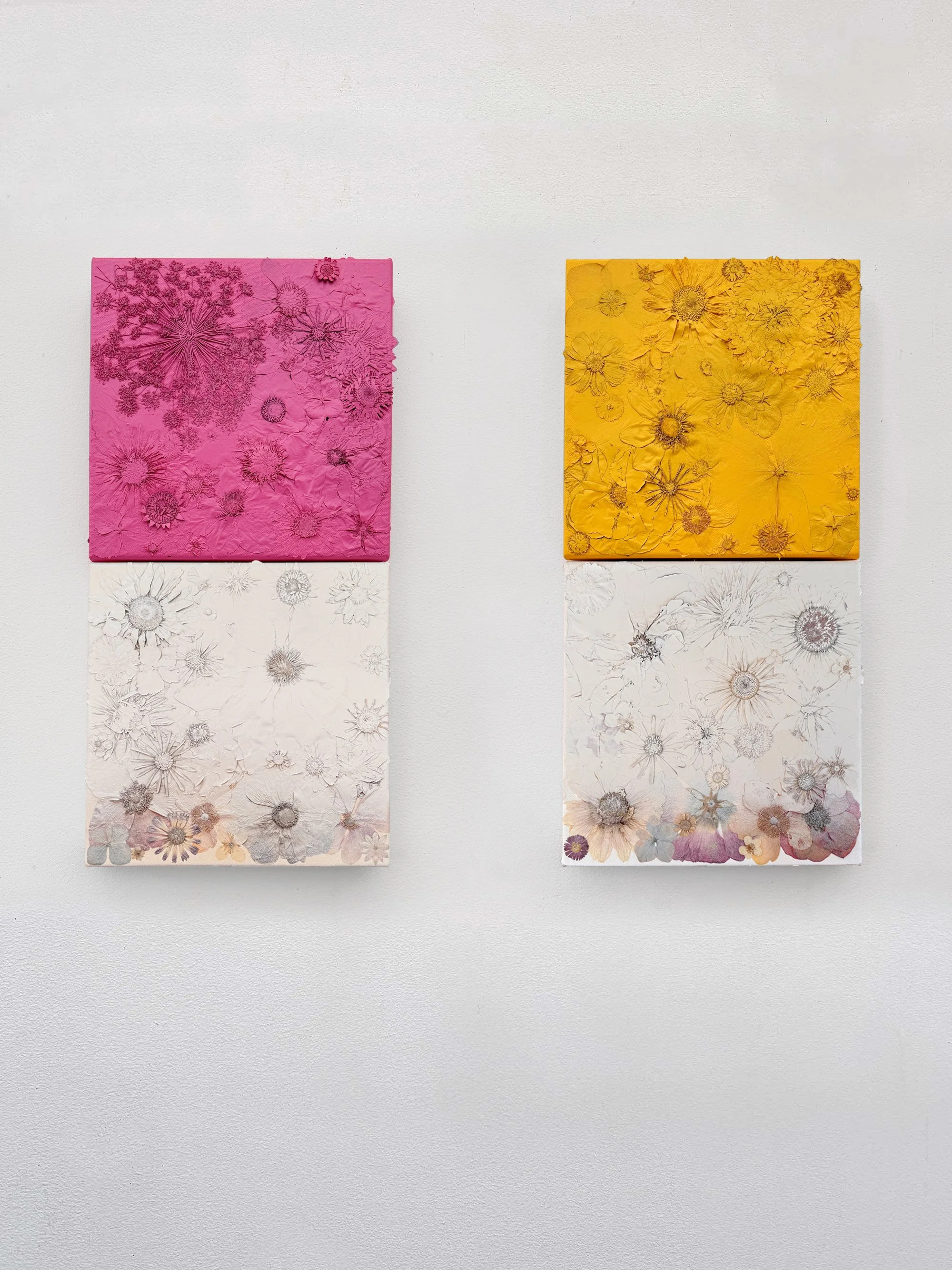 Lorna-Freytag-yellow-pink-shift.jpg