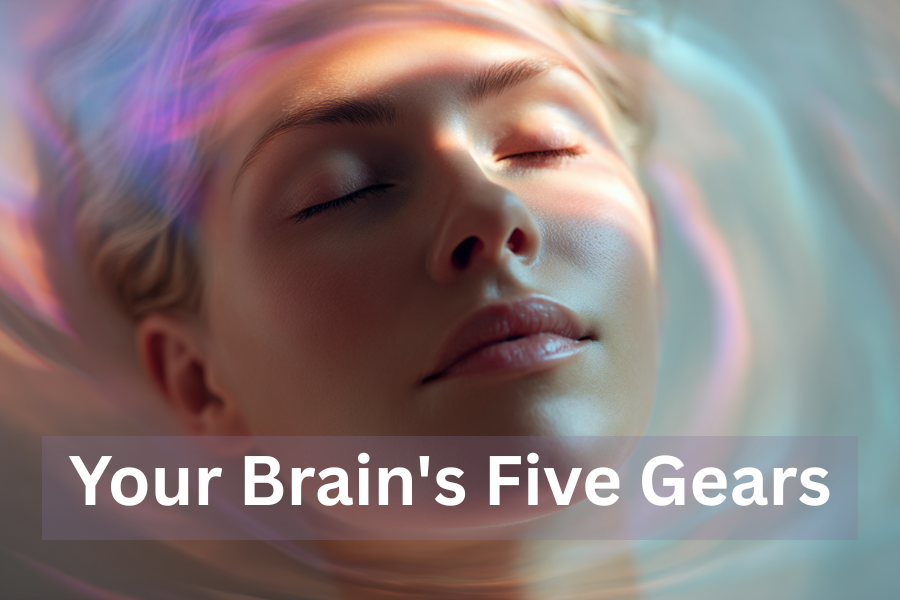Your Brain's Five Gears: Understanding How They Can Help in Your Transformation